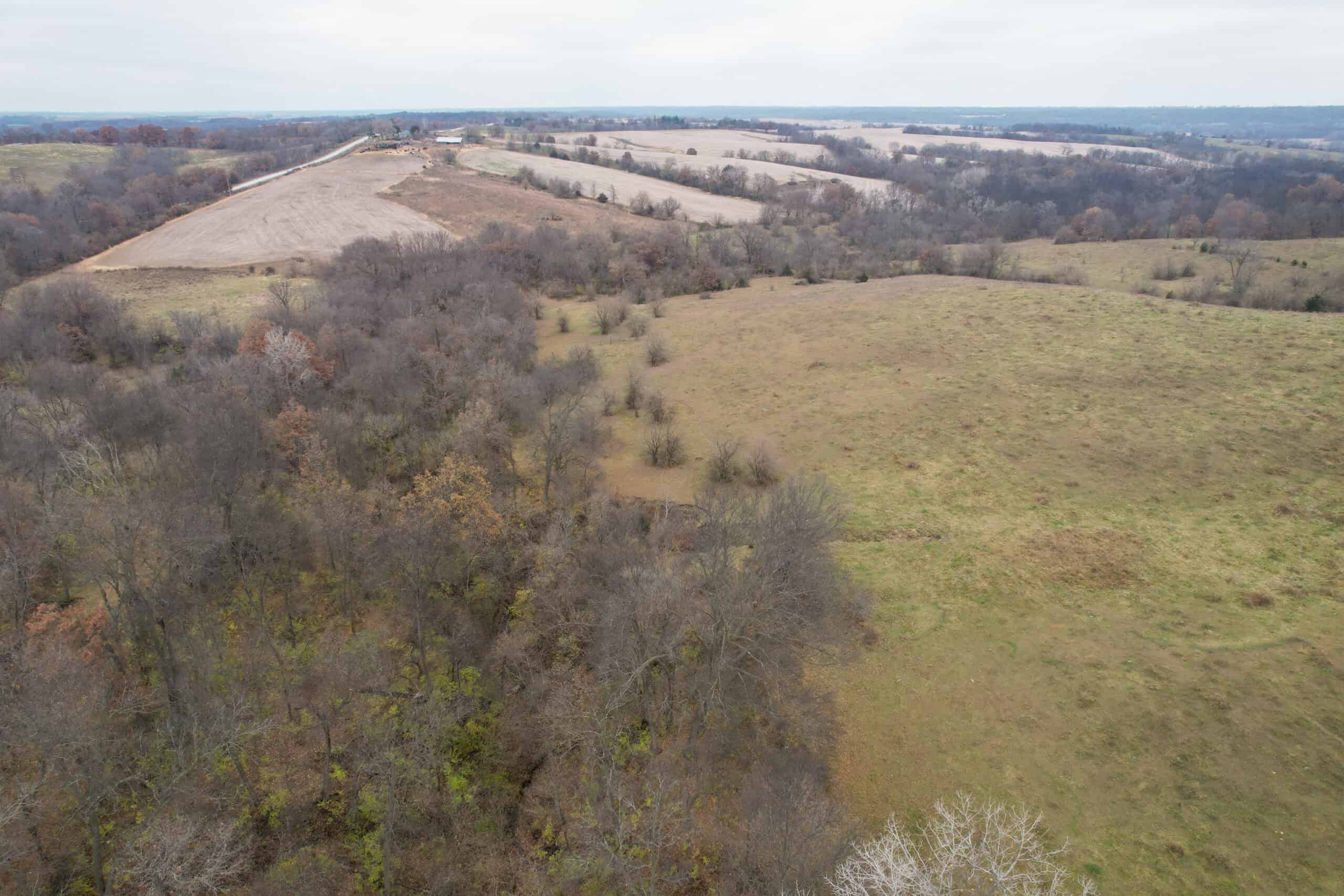 115± Acres in Premier Monroe County, Iowa Whitetail Neighborhood