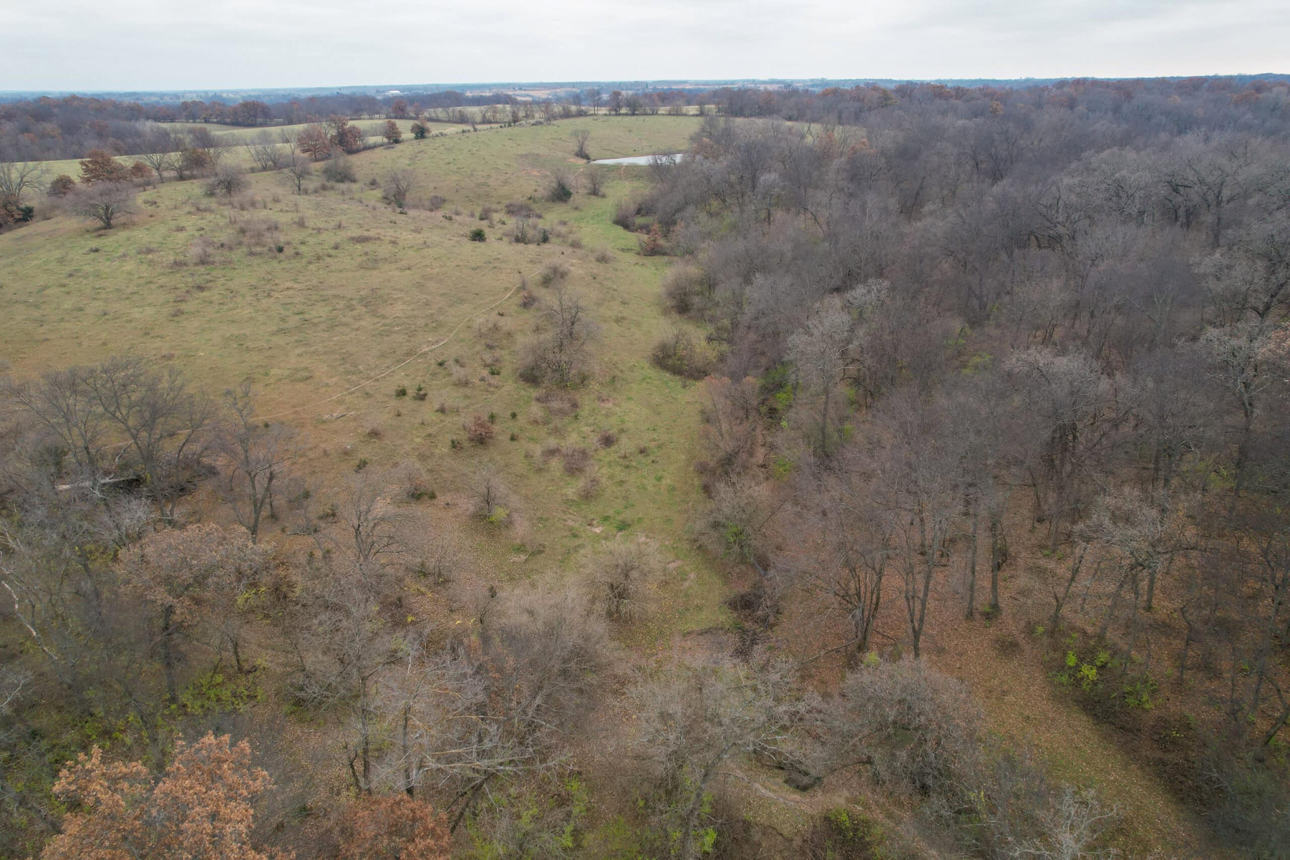 115± Acres in Premier Monroe County, Iowa Whitetail Neighborhood