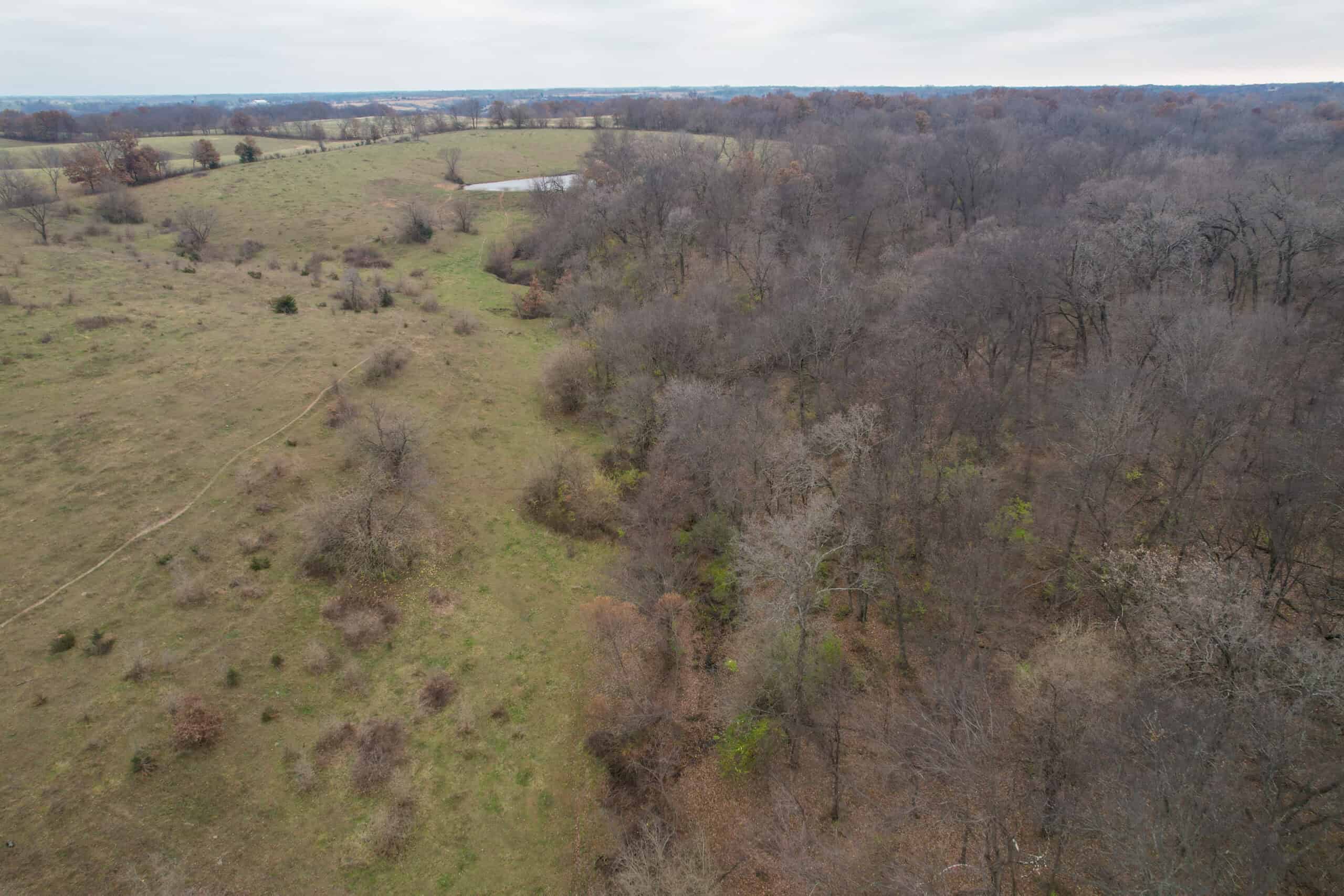 115± Acres in Premier Monroe County, Iowa Whitetail Neighborhood