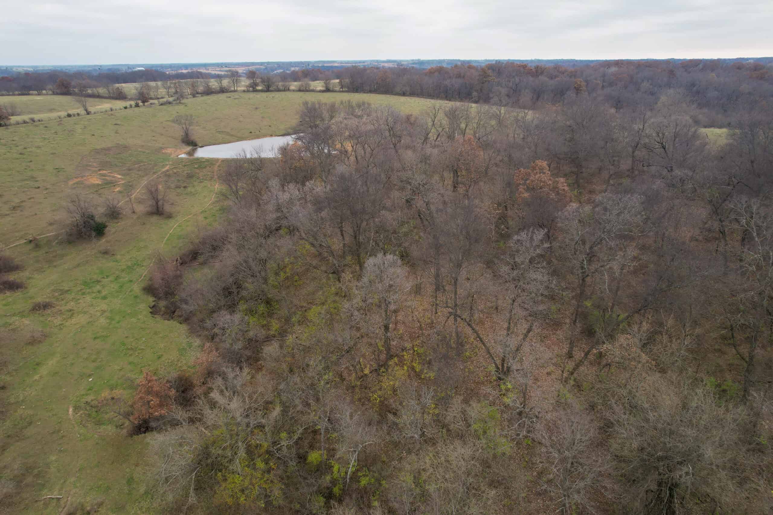 115± Acres in Premier Monroe County, Iowa Whitetail Neighborhood