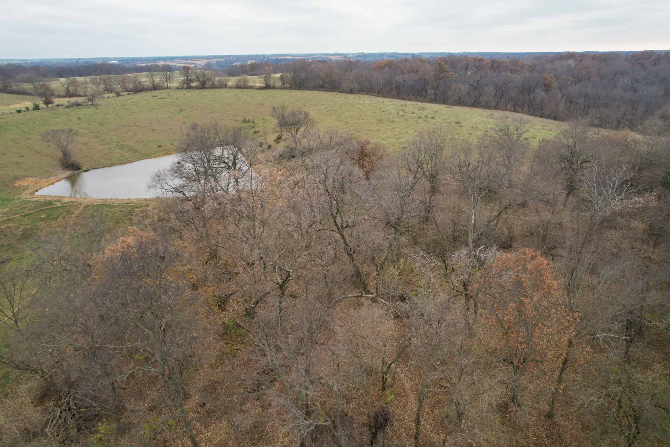 115± Acres in Premier Monroe County, Iowa Whitetail Neighborhood