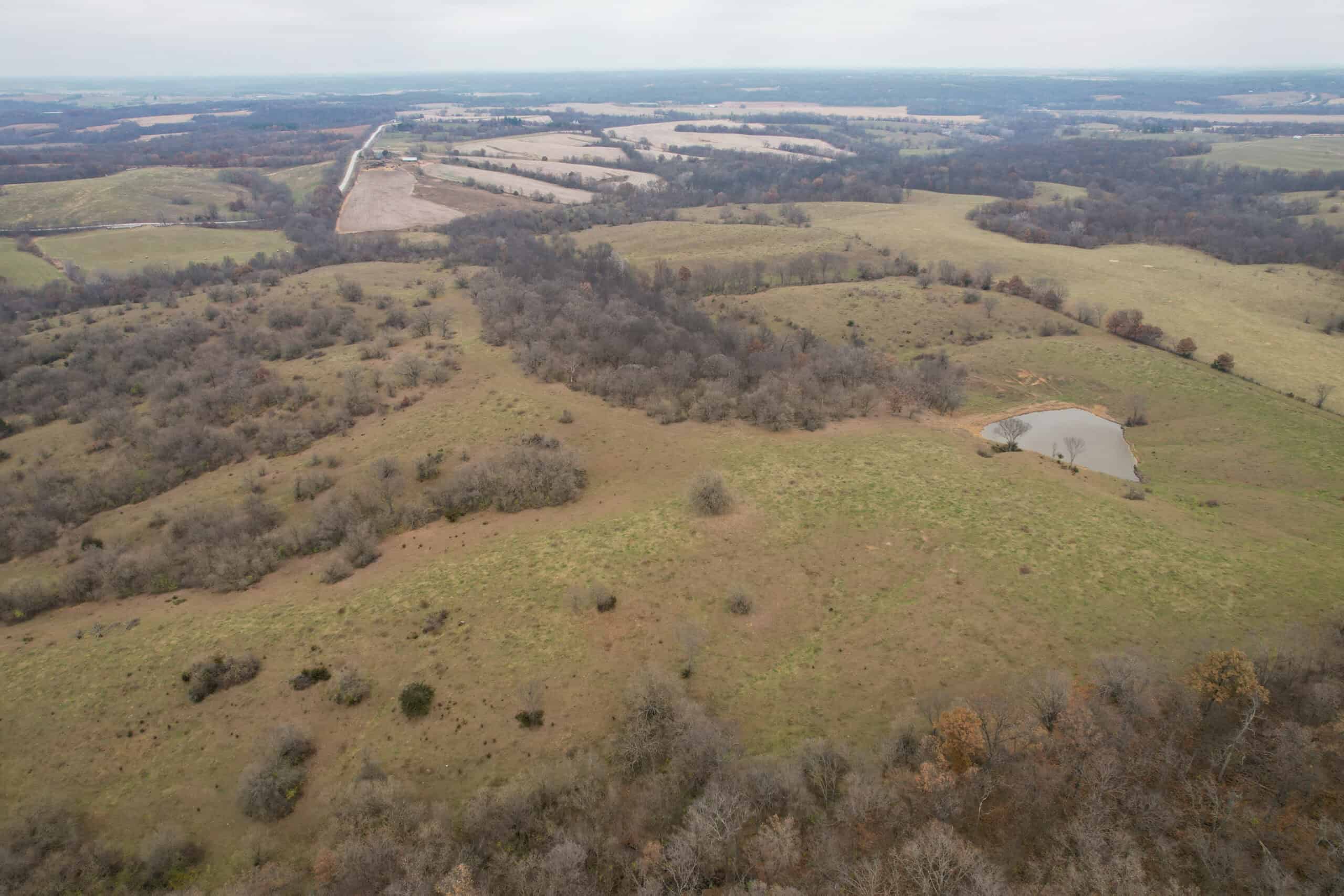 115± Acres in Premier Monroe County, Iowa Whitetail Neighborhood