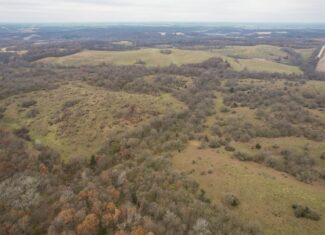 156± Acres | Premier Whitetail & Pasture Unit | North of Georgetown & West of Hiteman