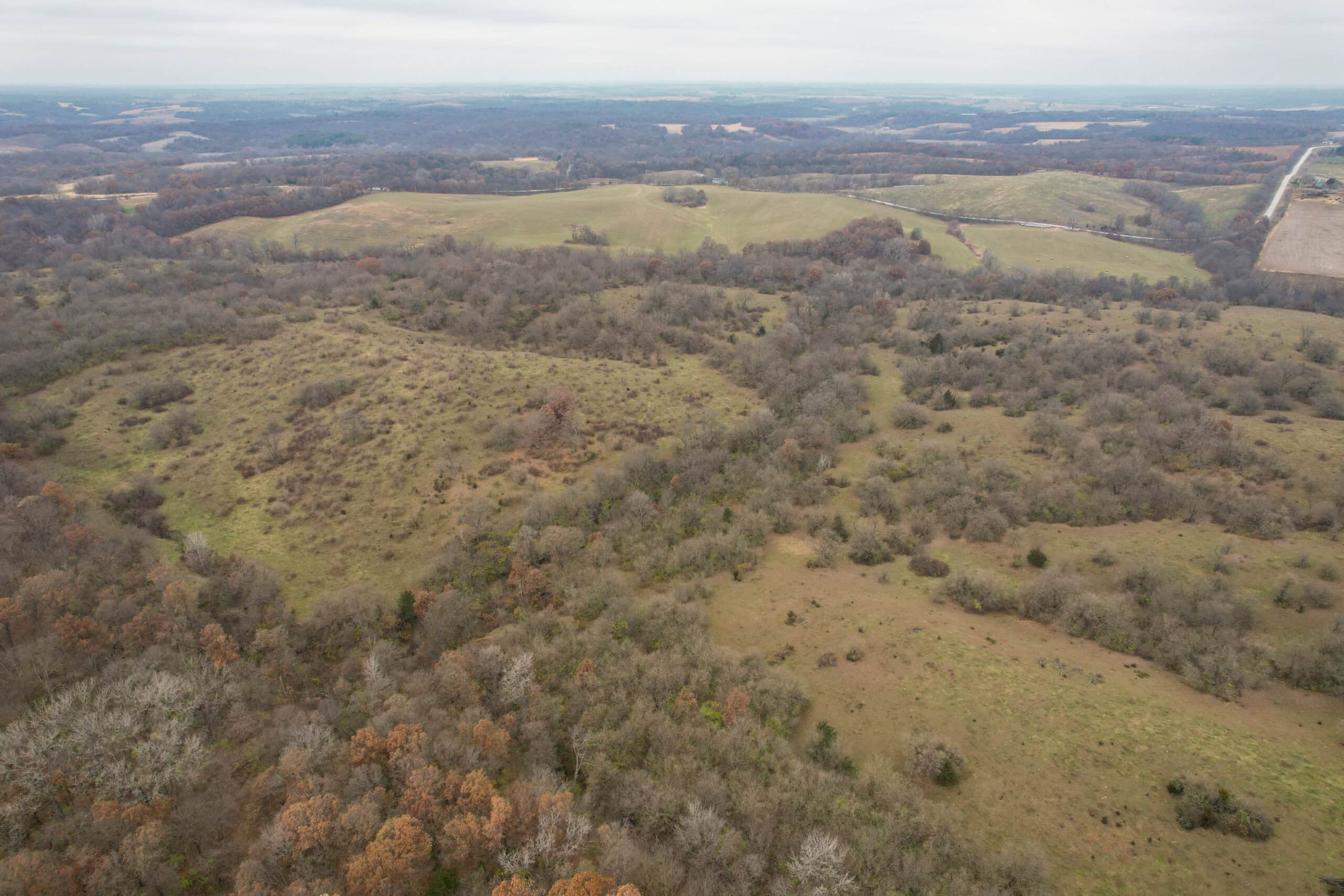 156± Acres | Premier Whitetail & Pasture Unit | North of Georgetown & West of Hiteman