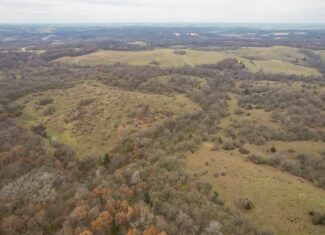 156± Acres | Premier Whitetail & Pasture Unit | North of Georgetown & West of Hiteman