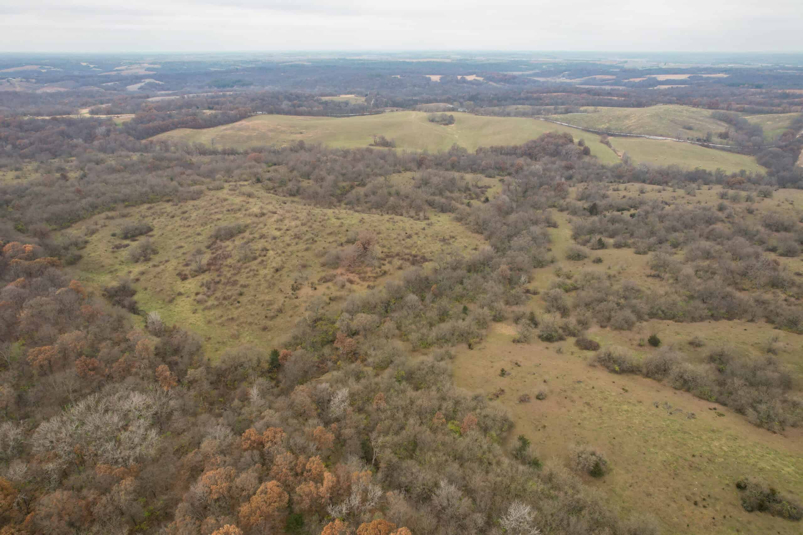 156± Acres | Premier Whitetail & Pasture Unit | North of Georgetown & West of Hiteman