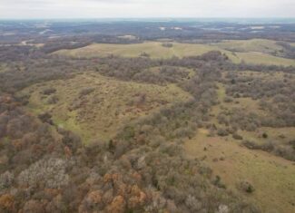 156± Acres | Premier Whitetail & Pasture Unit | North of Georgetown & West of Hiteman