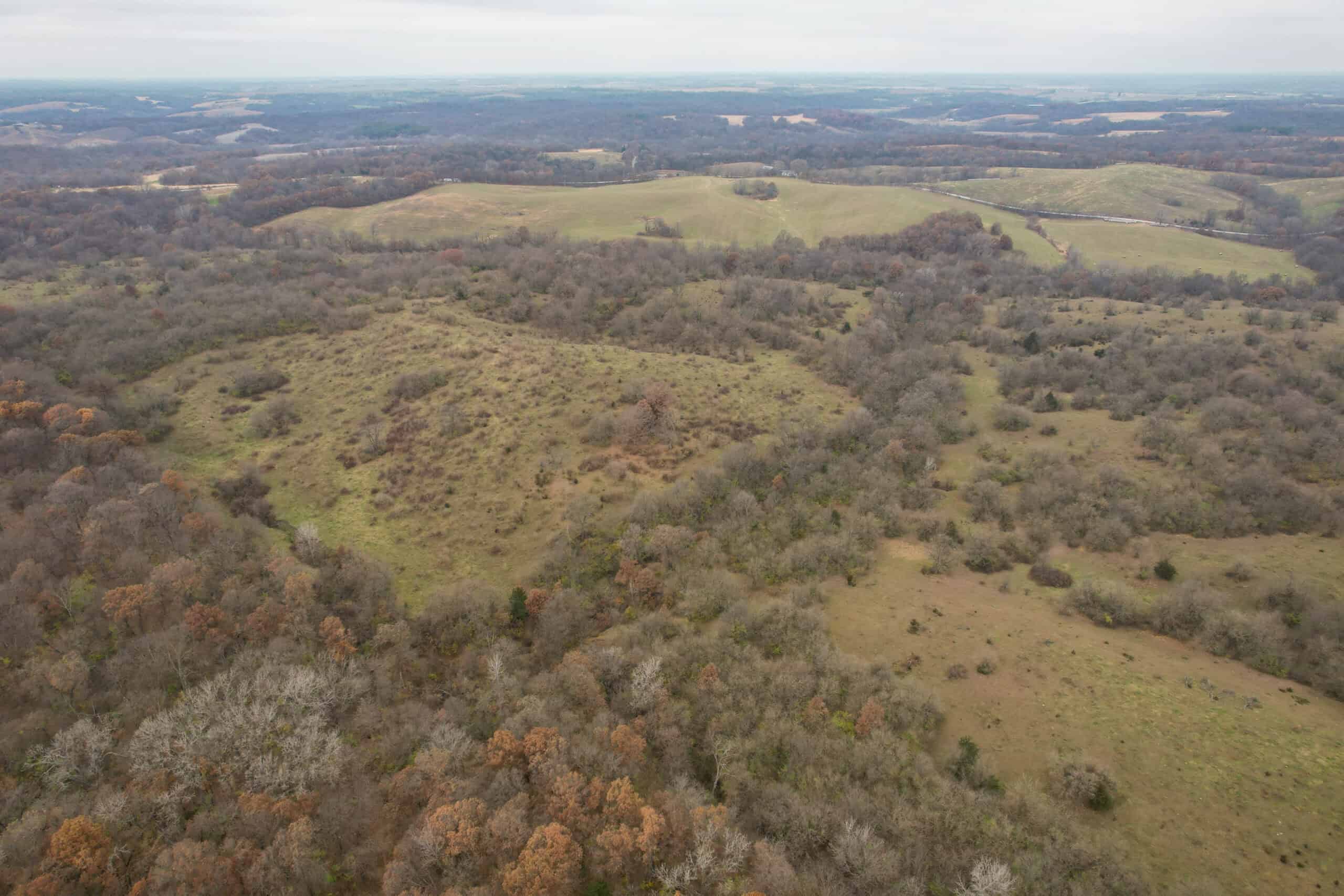 156± Acres | Premier Whitetail & Pasture Unit | North of Georgetown & West of Hiteman