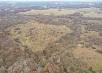 156± Acres | Premier Whitetail & Pasture Unit | North of Georgetown & West of Hiteman