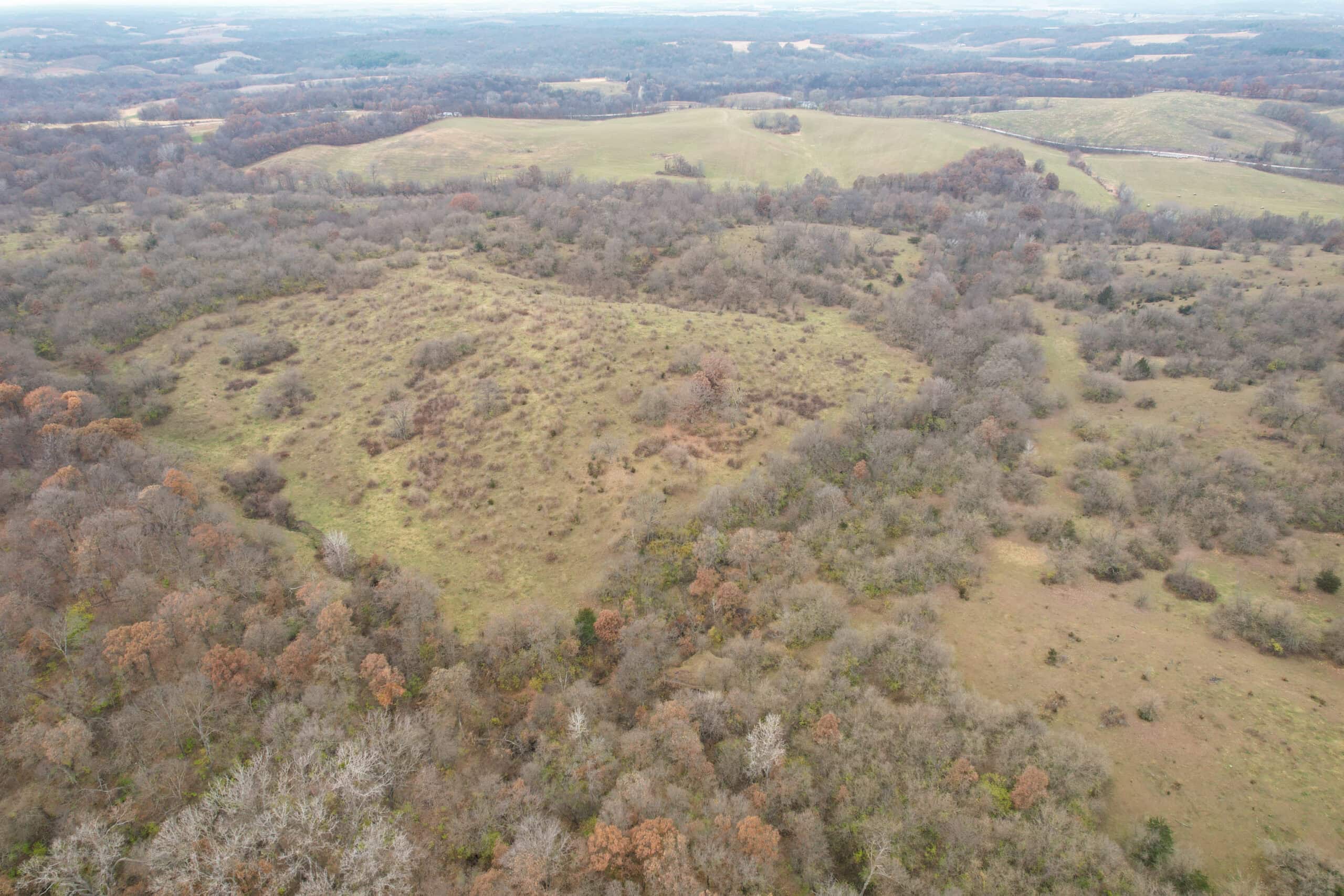 156± Acres | Premier Whitetail & Pasture Unit | North of Georgetown & West of Hiteman