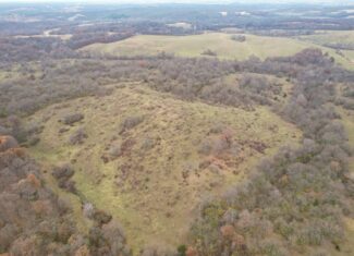 156± Acres | Premier Whitetail & Pasture Unit | North of Georgetown & West of Hiteman