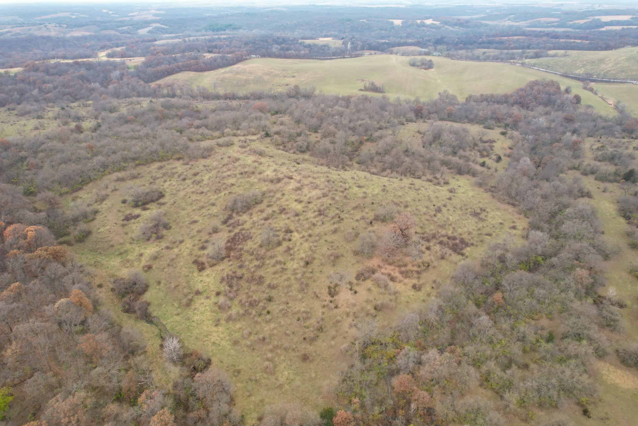 156± Acres | Premier Whitetail & Pasture Unit | North of Georgetown & West of Hiteman