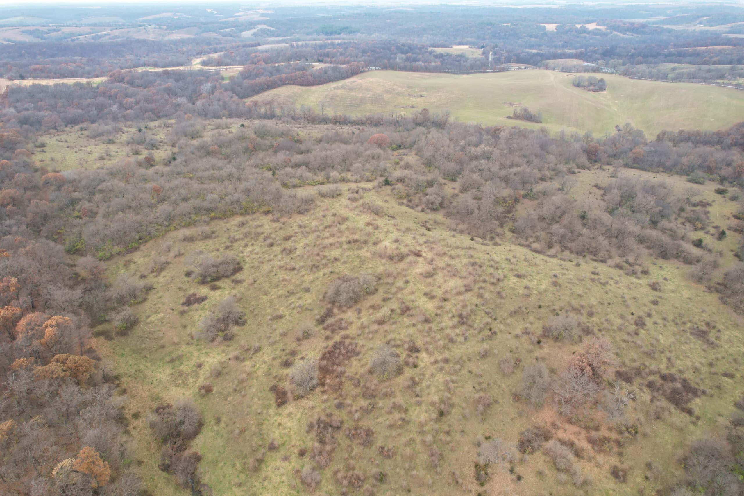156± Acres | Premier Whitetail & Pasture Unit | North of Georgetown & West of Hiteman