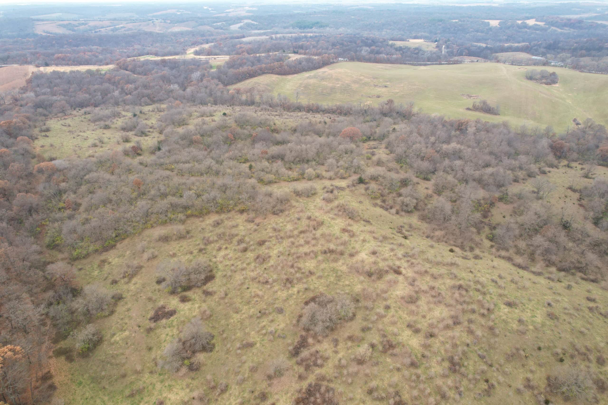 156± Acres | Premier Whitetail & Pasture Unit | North of Georgetown & West of Hiteman