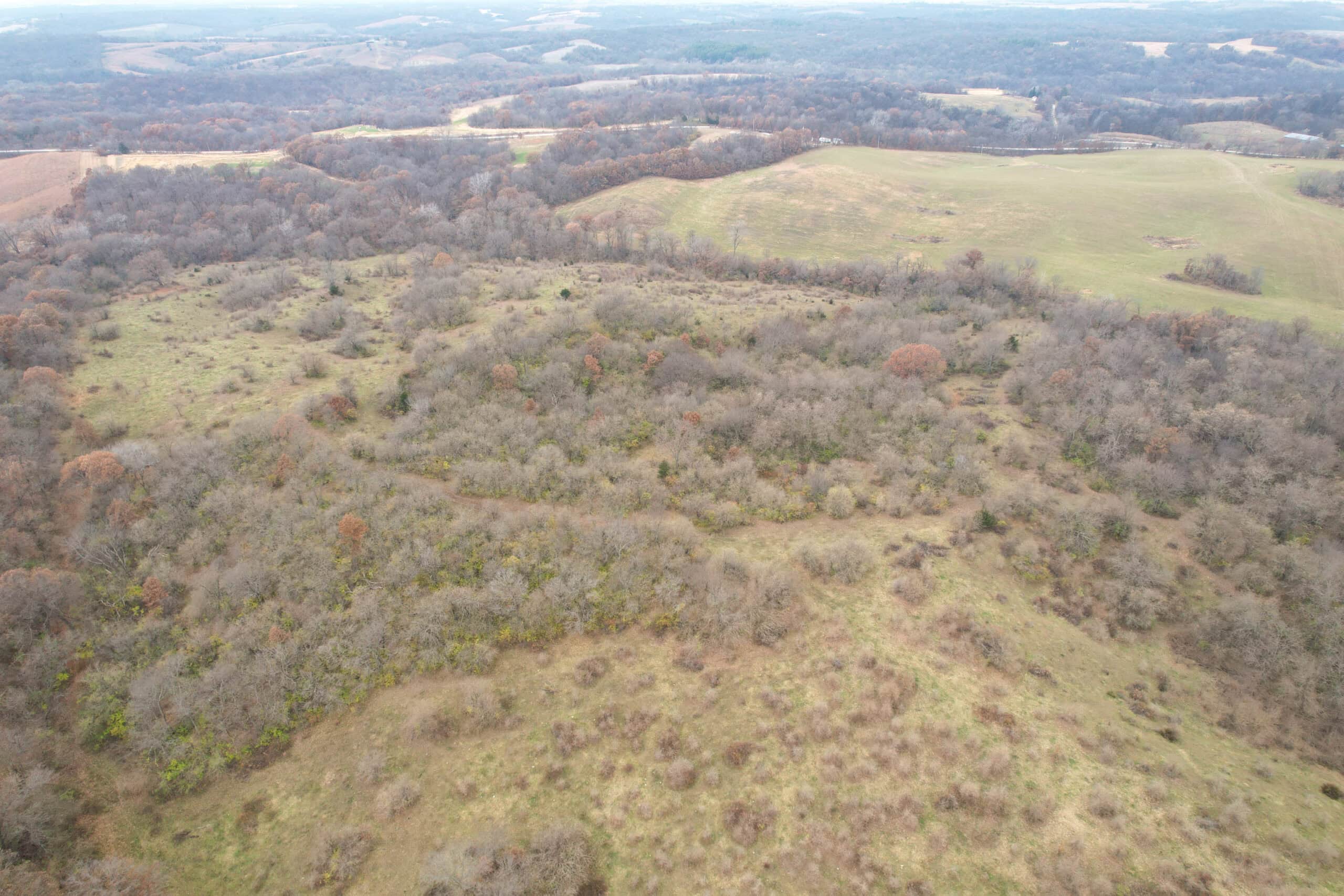 156± Acres | Premier Whitetail & Pasture Unit | North of Georgetown & West of Hiteman