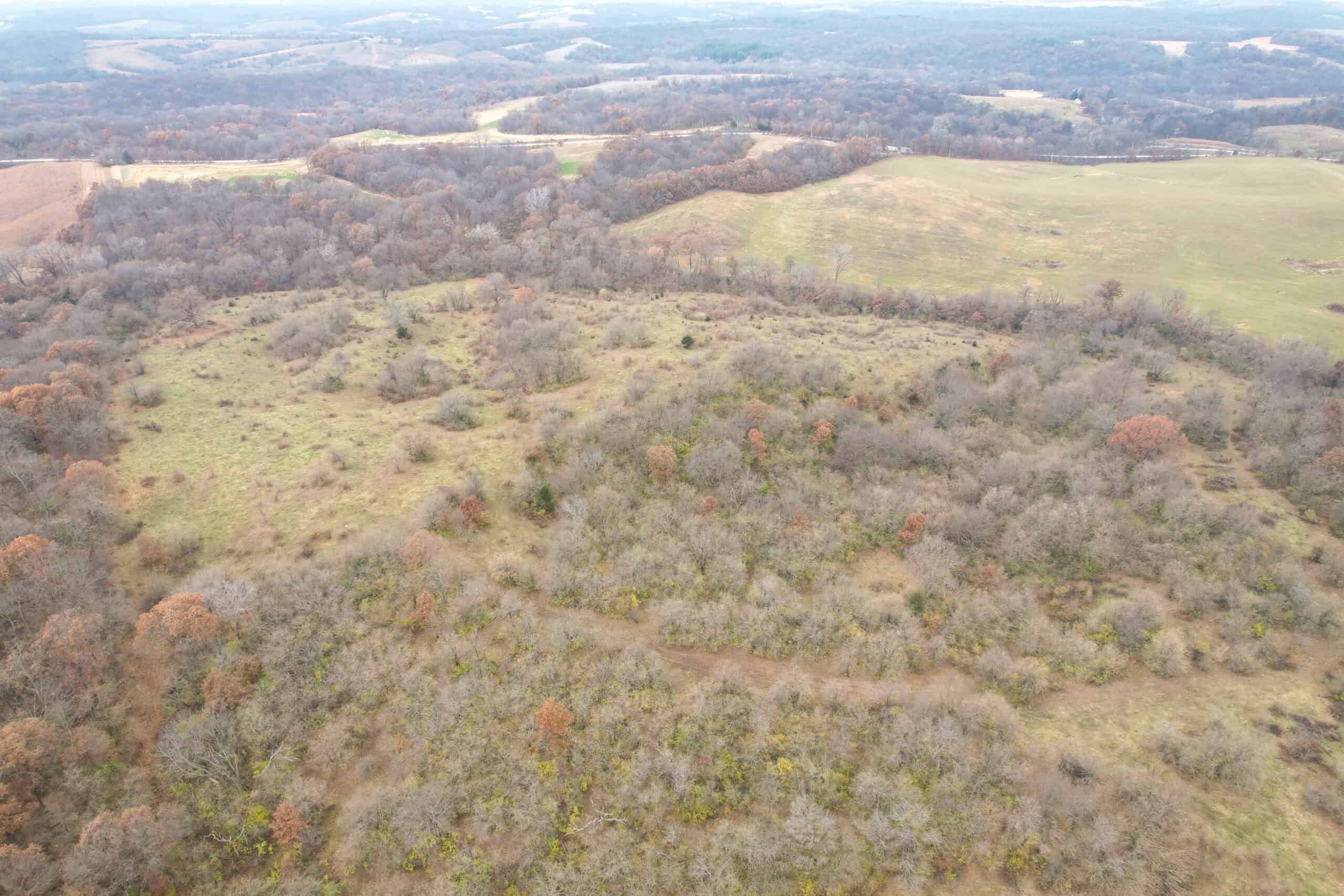 156± Acres | Premier Whitetail & Pasture Unit | North of Georgetown & West of Hiteman