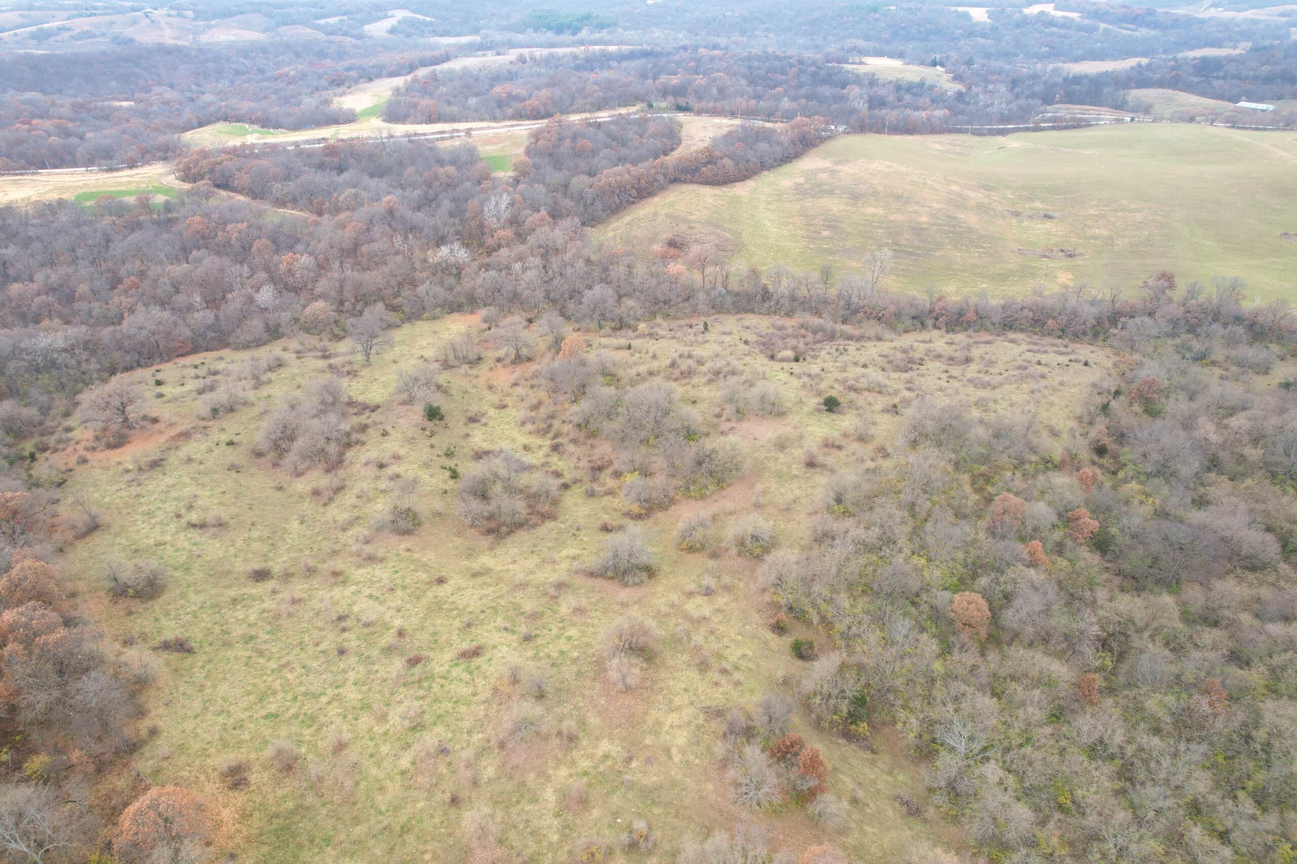 156± Acres | Premier Whitetail & Pasture Unit | North of Georgetown & West of Hiteman