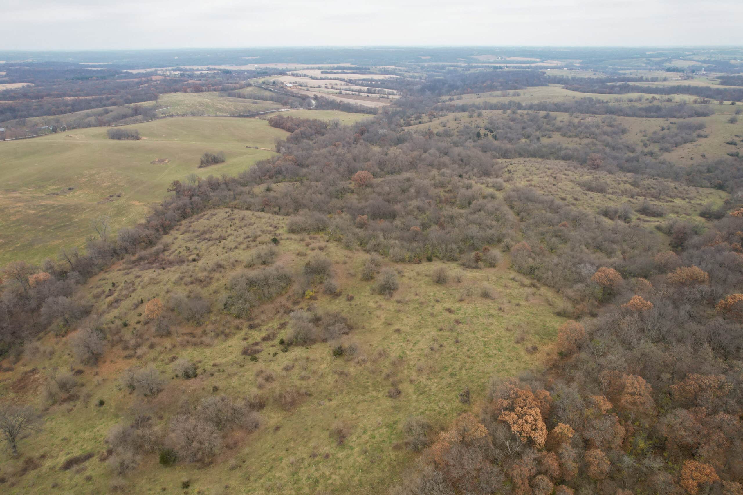 156± Acres | Premier Whitetail & Pasture Unit | North of Georgetown & West of Hiteman