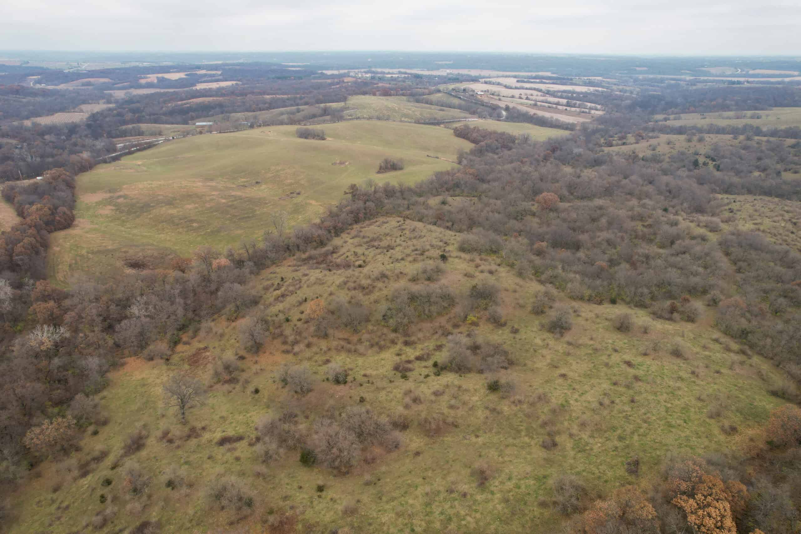 156± Acres | Premier Whitetail & Pasture Unit | North of Georgetown & West of Hiteman