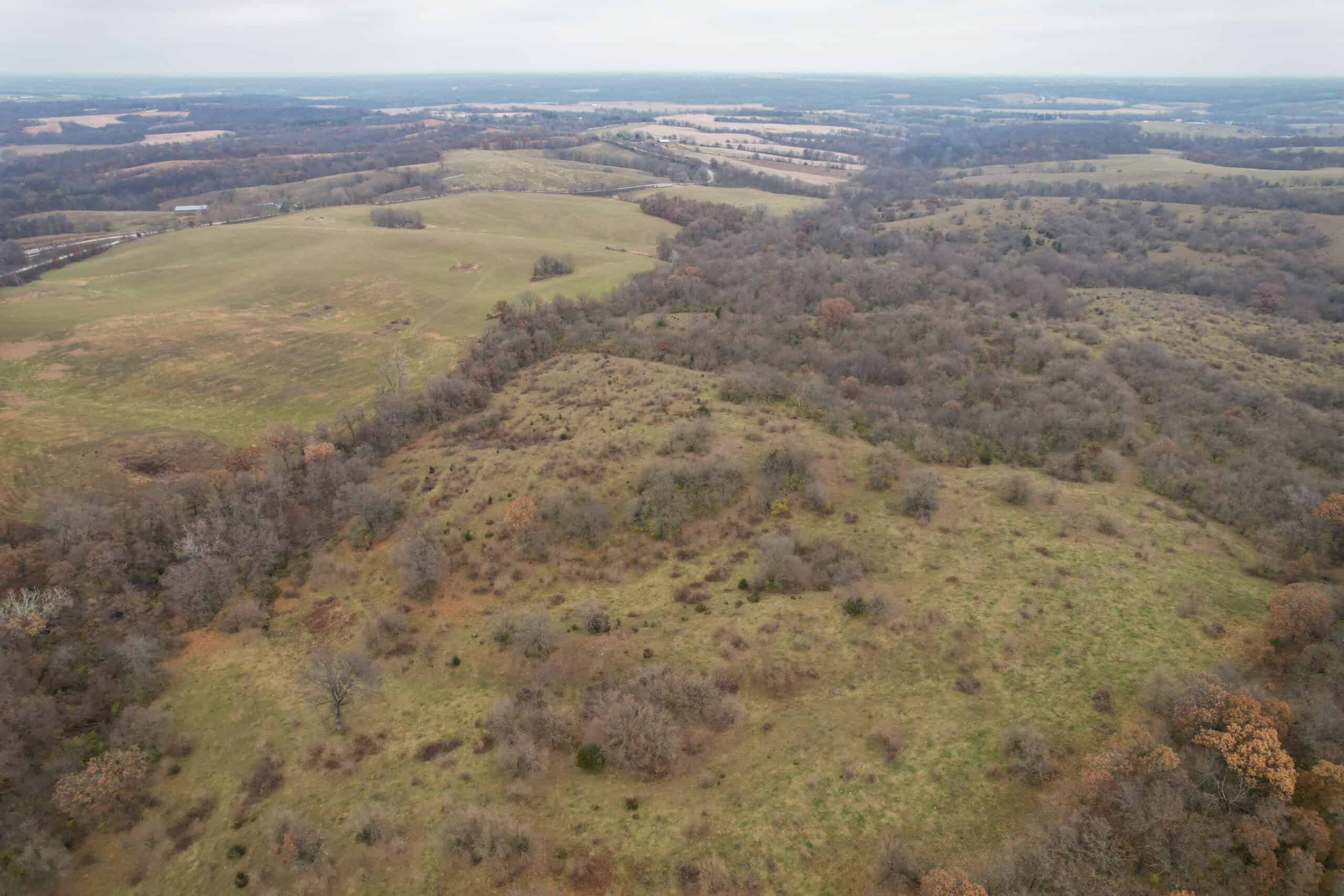156± Acres | Premier Whitetail & Pasture Unit | North of Georgetown & West of Hiteman