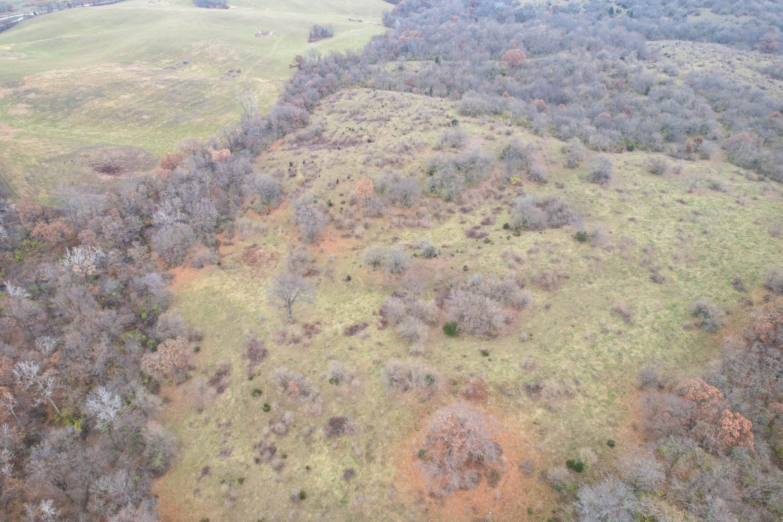 156± Acres | Premier Whitetail & Pasture Unit | North of Georgetown & West of Hiteman