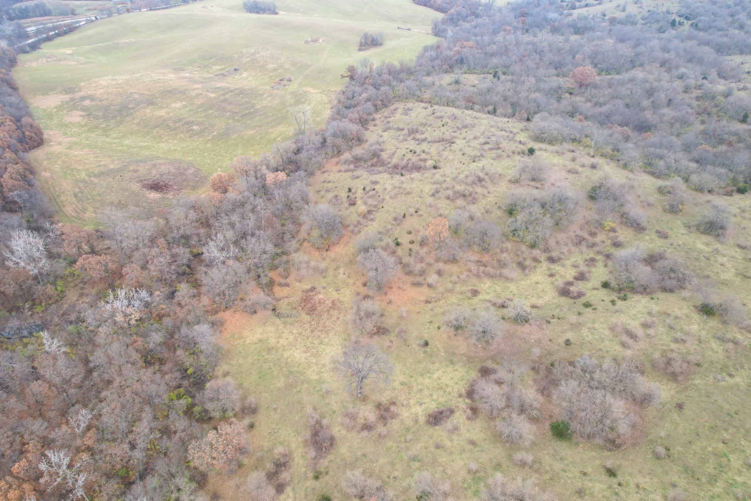 156± Acres | Premier Whitetail & Pasture Unit | North of Georgetown & West of Hiteman
