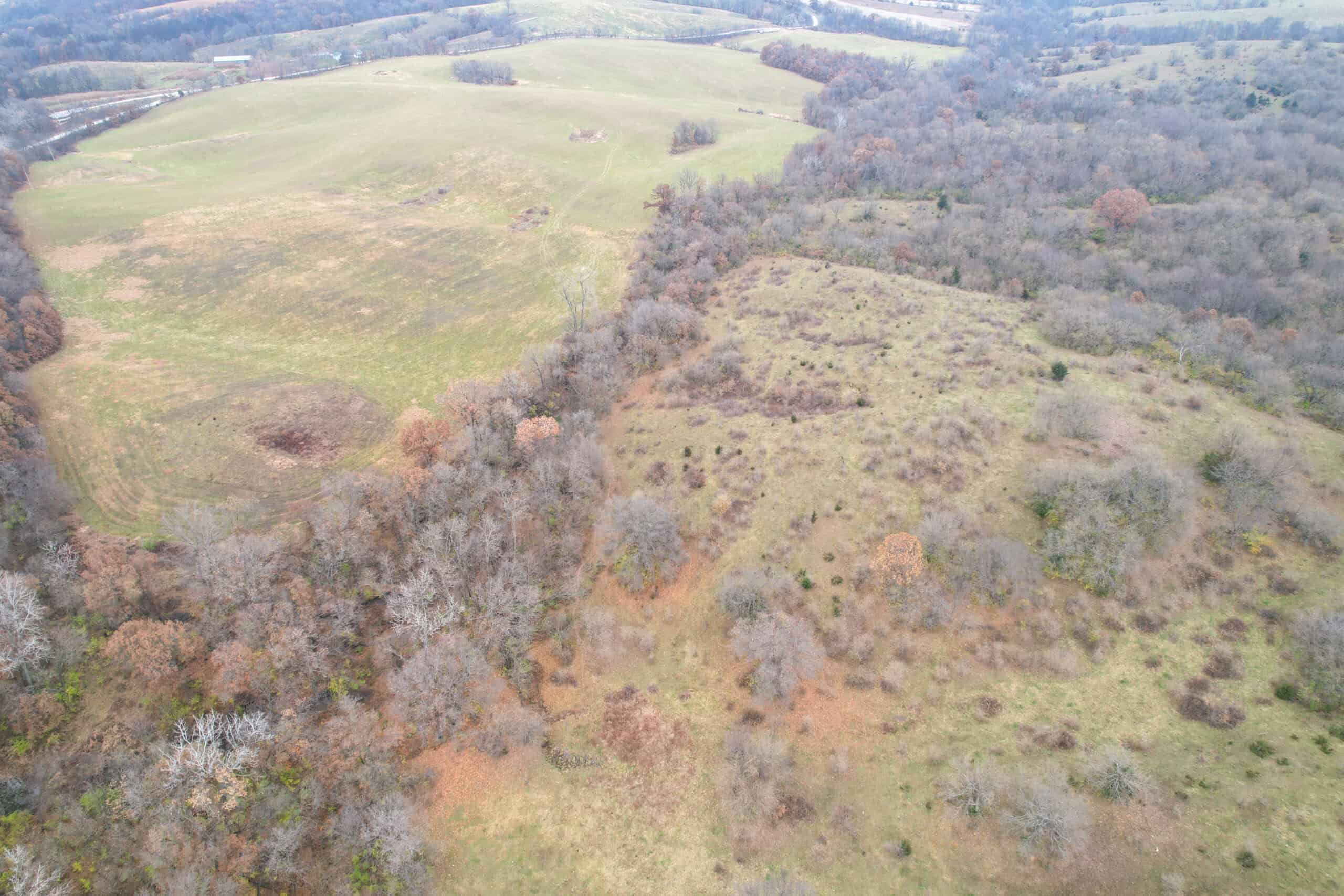 156± Acres | Premier Whitetail & Pasture Unit | North of Georgetown & West of Hiteman