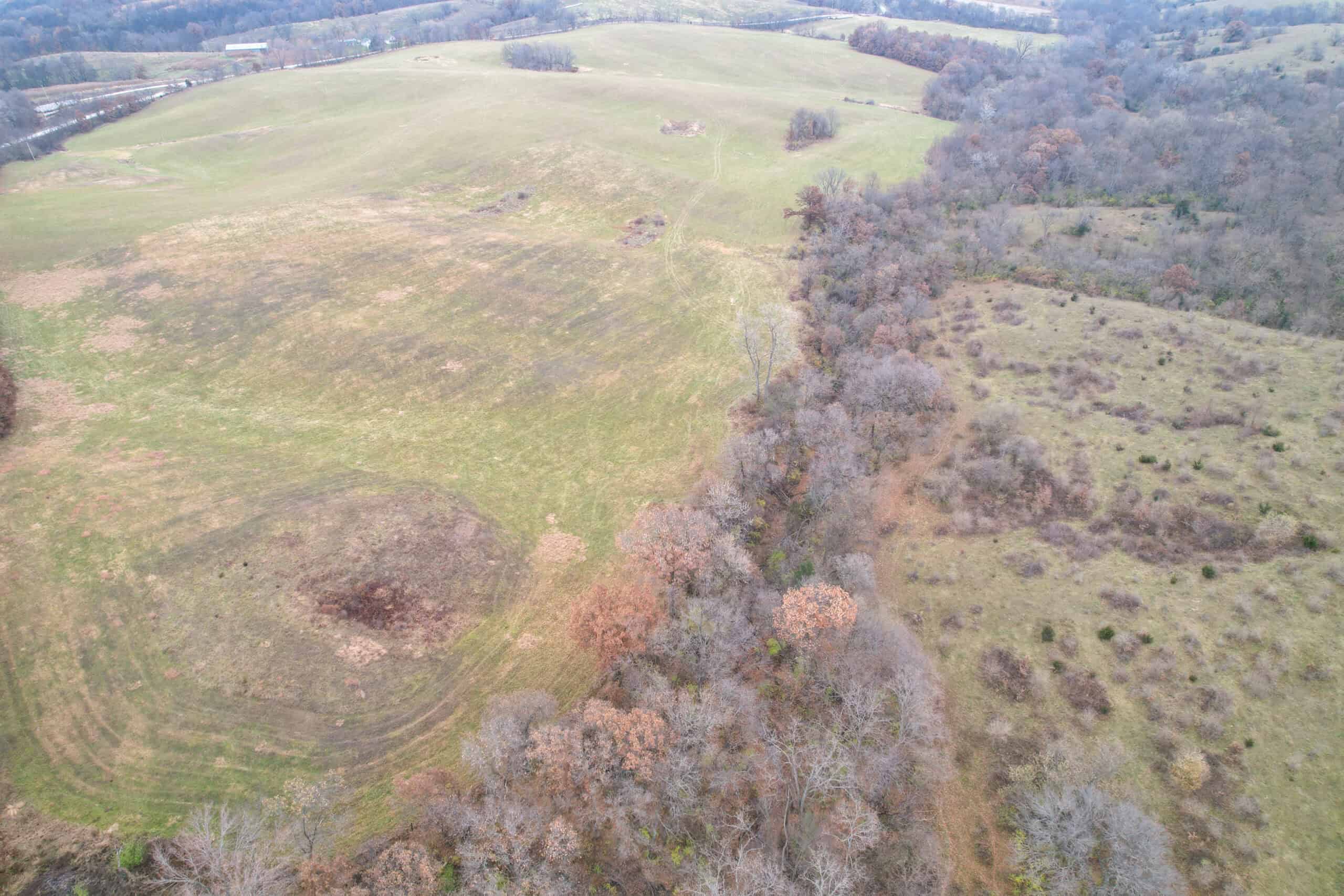 156± Acres | Premier Whitetail & Pasture Unit | North of Georgetown & West of Hiteman