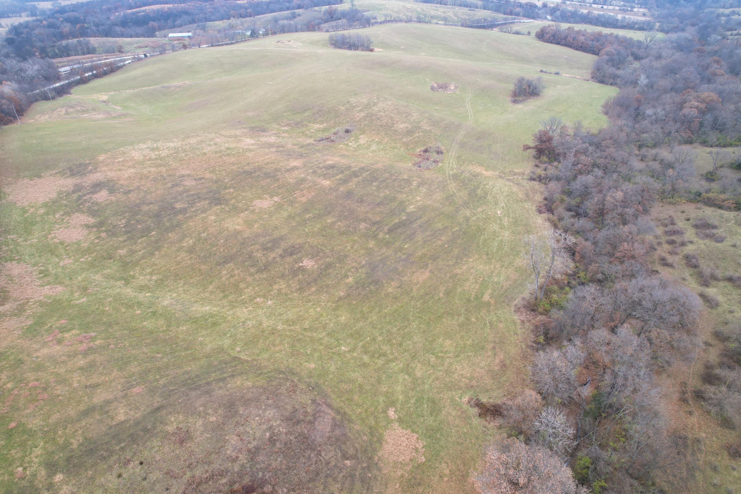 156± Acres | Premier Whitetail & Pasture Unit | North of Georgetown & West of Hiteman
