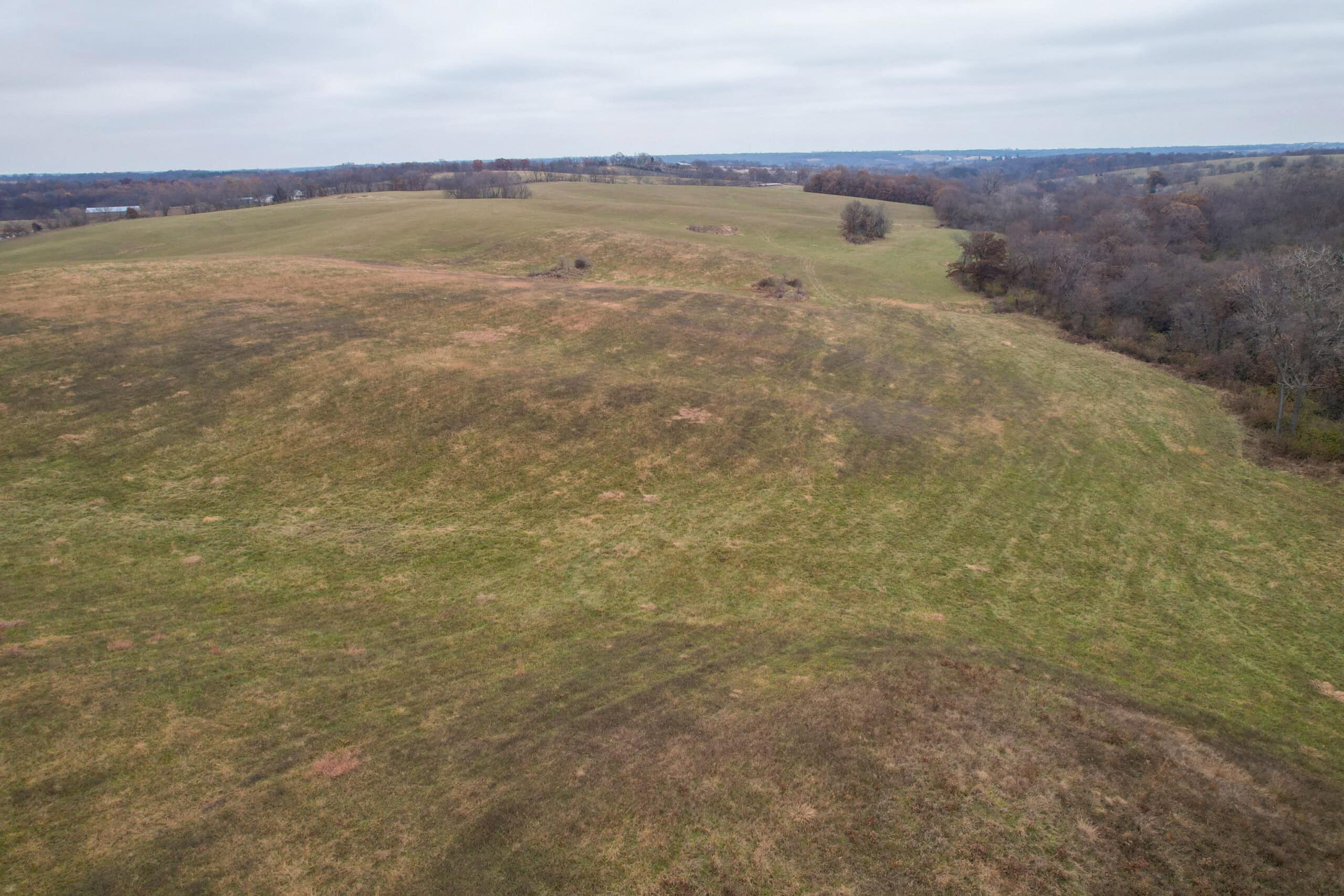 156± Acres | Premier Whitetail & Pasture Unit | North of Georgetown & West of Hiteman