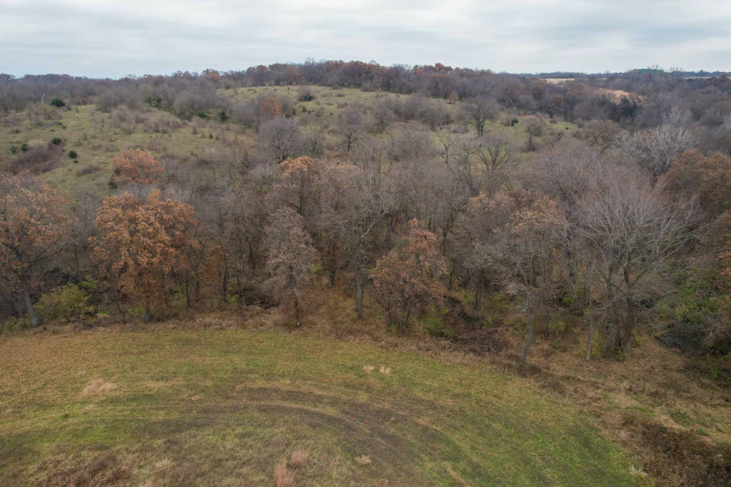 156± Acres | Premier Whitetail & Pasture Unit | North of Georgetown & West of Hiteman
