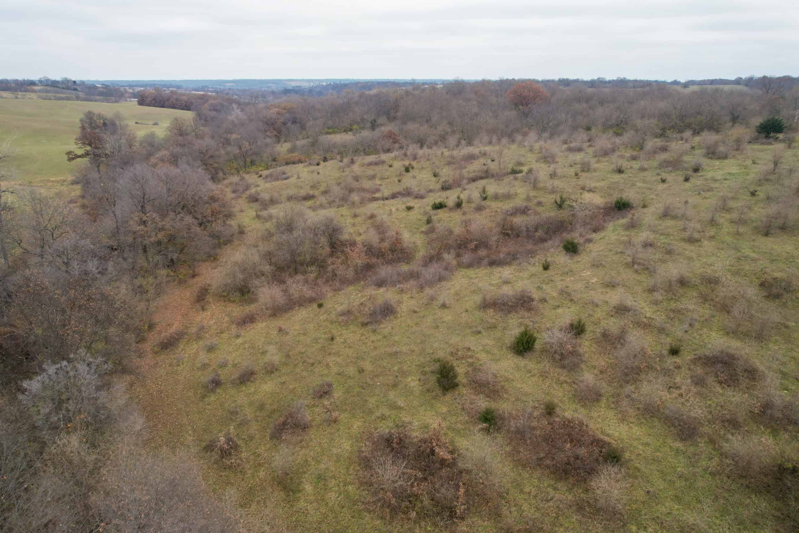 156± Acres | Premier Whitetail & Pasture Unit | North of Georgetown & West of Hiteman