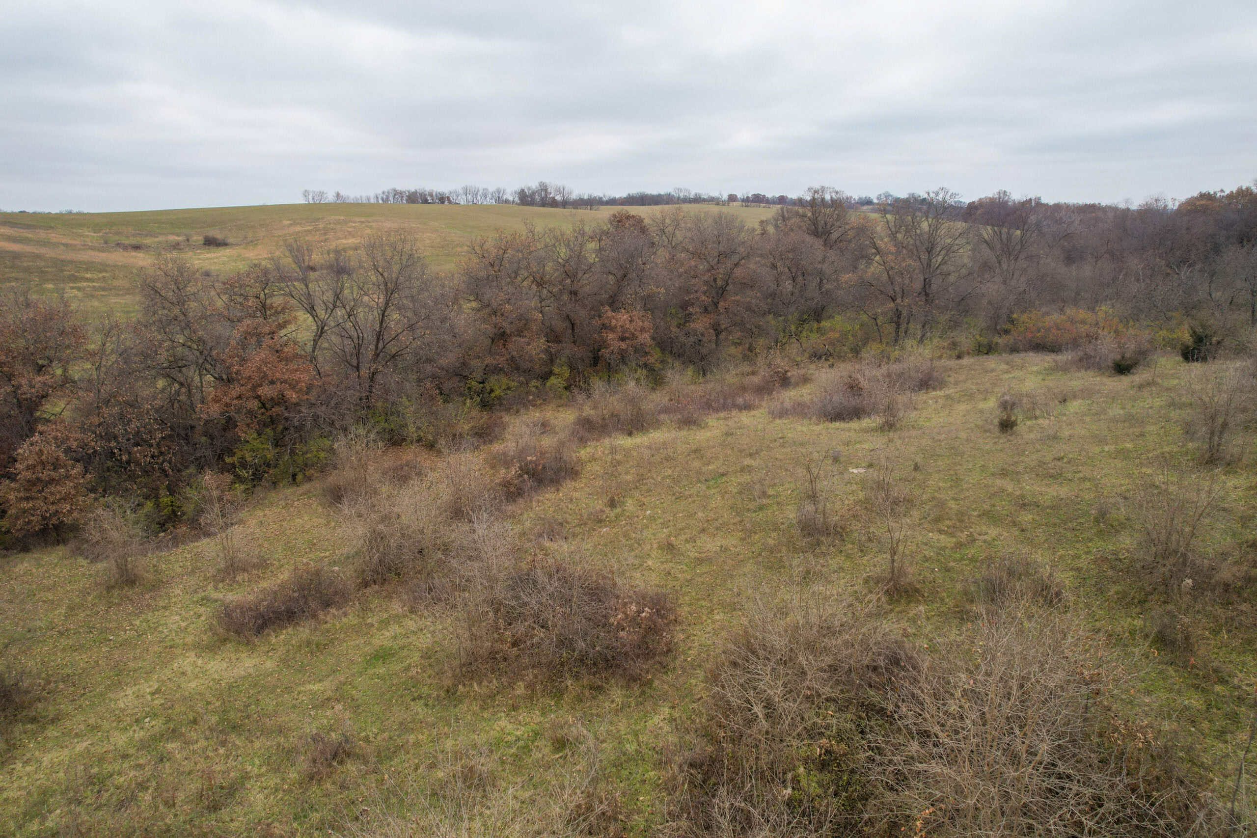 156± Acres | Premier Whitetail & Pasture Unit | North of Georgetown & West of Hiteman