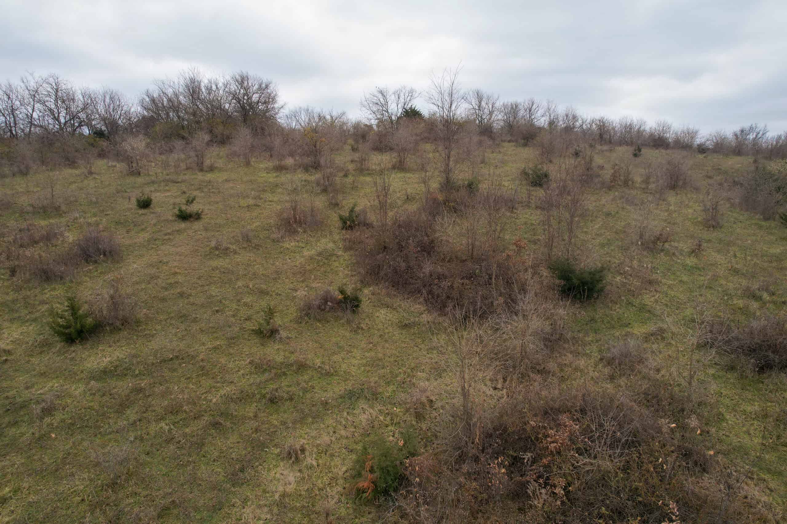 156± Acres | Premier Whitetail & Pasture Unit | North of Georgetown & West of Hiteman