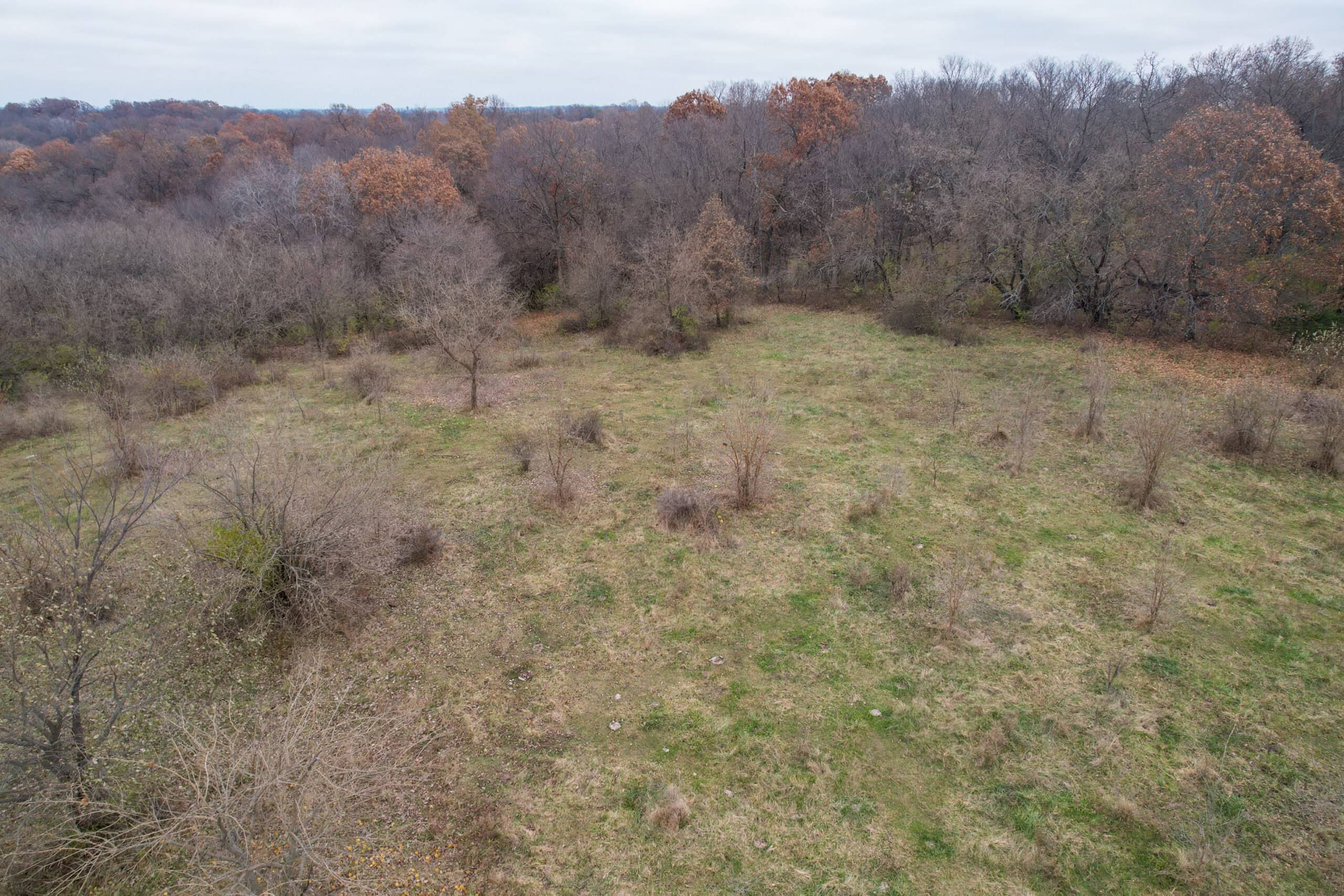 156± Acres | Premier Whitetail & Pasture Unit | North of Georgetown & West of Hiteman
