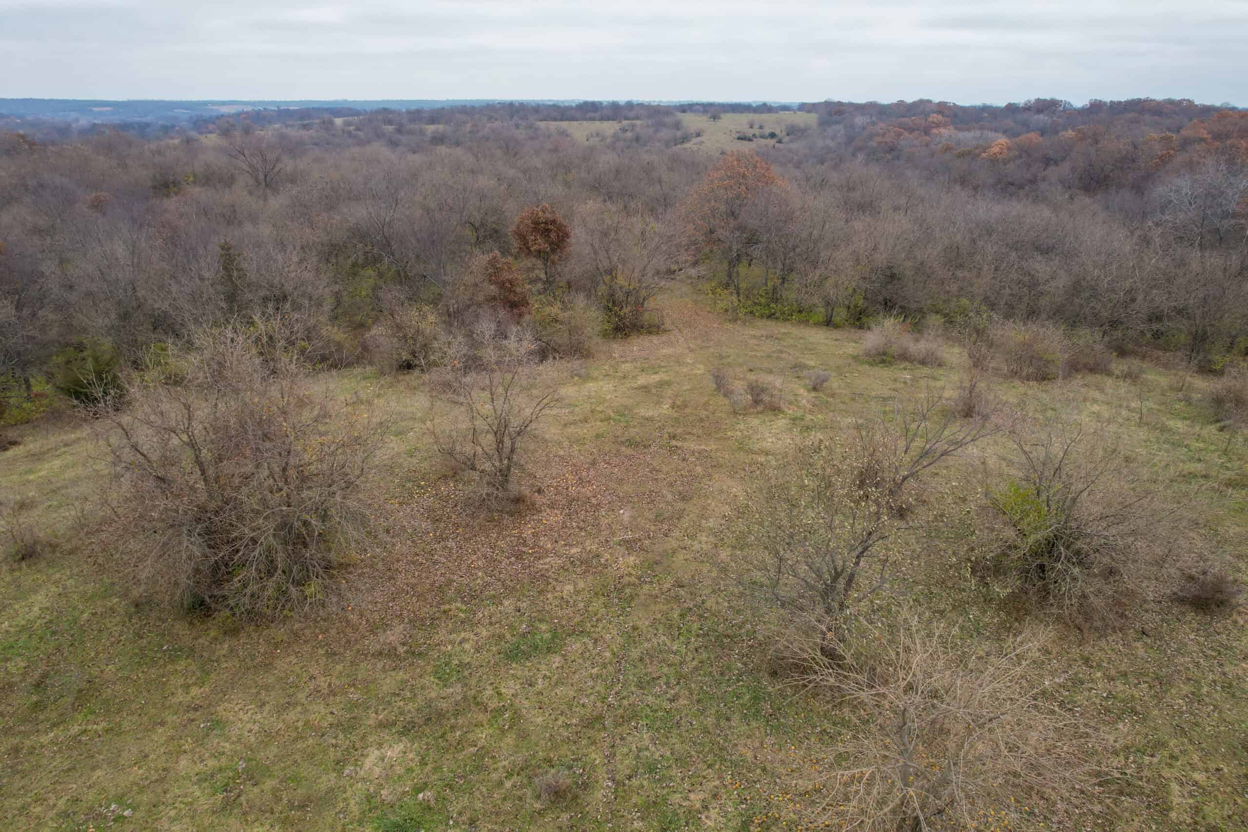 156± Acres | Premier Whitetail & Pasture Unit | North of Georgetown & West of Hiteman