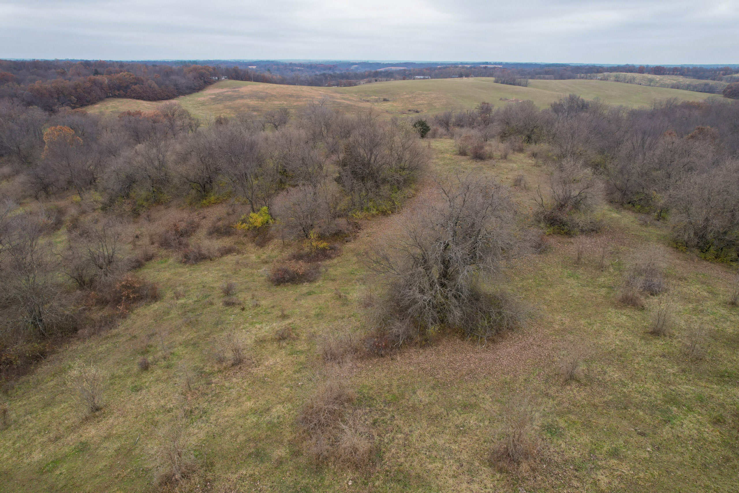 156± Acres | Premier Whitetail & Pasture Unit | North of Georgetown & West of Hiteman