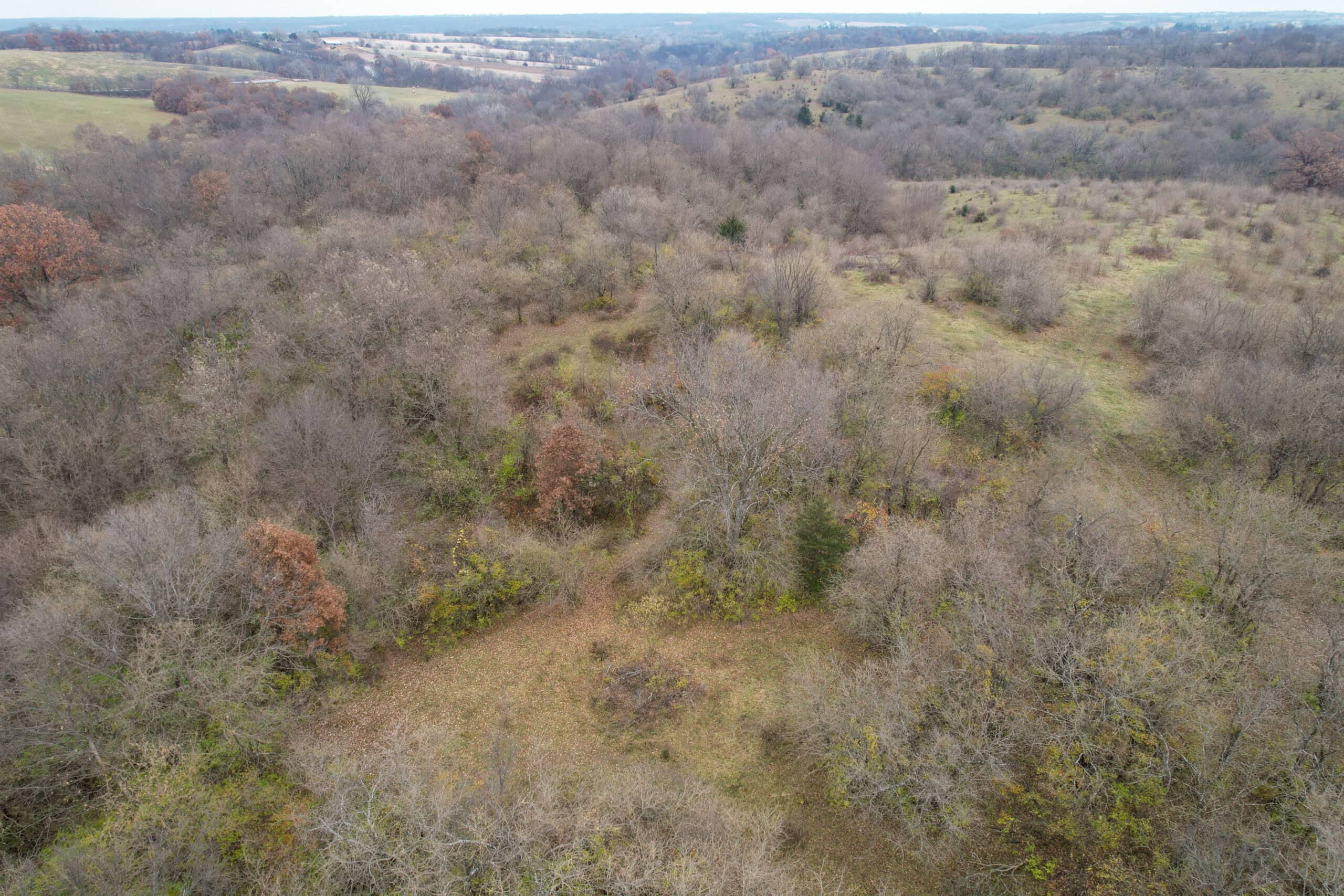 156± Acres | Premier Whitetail & Pasture Unit | North of Georgetown & West of Hiteman