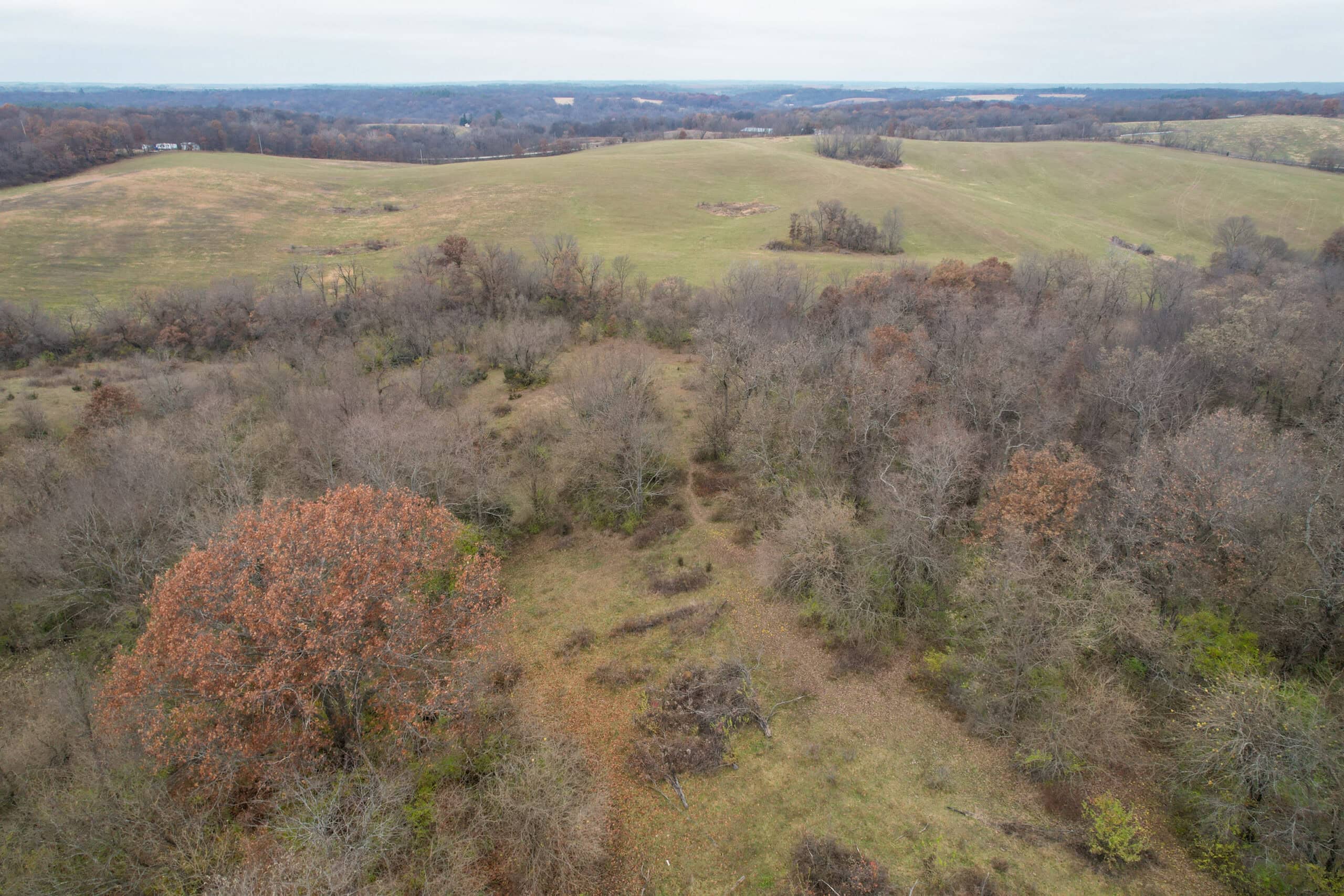 156± Acres | Premier Whitetail & Pasture Unit | North of Georgetown & West of Hiteman
