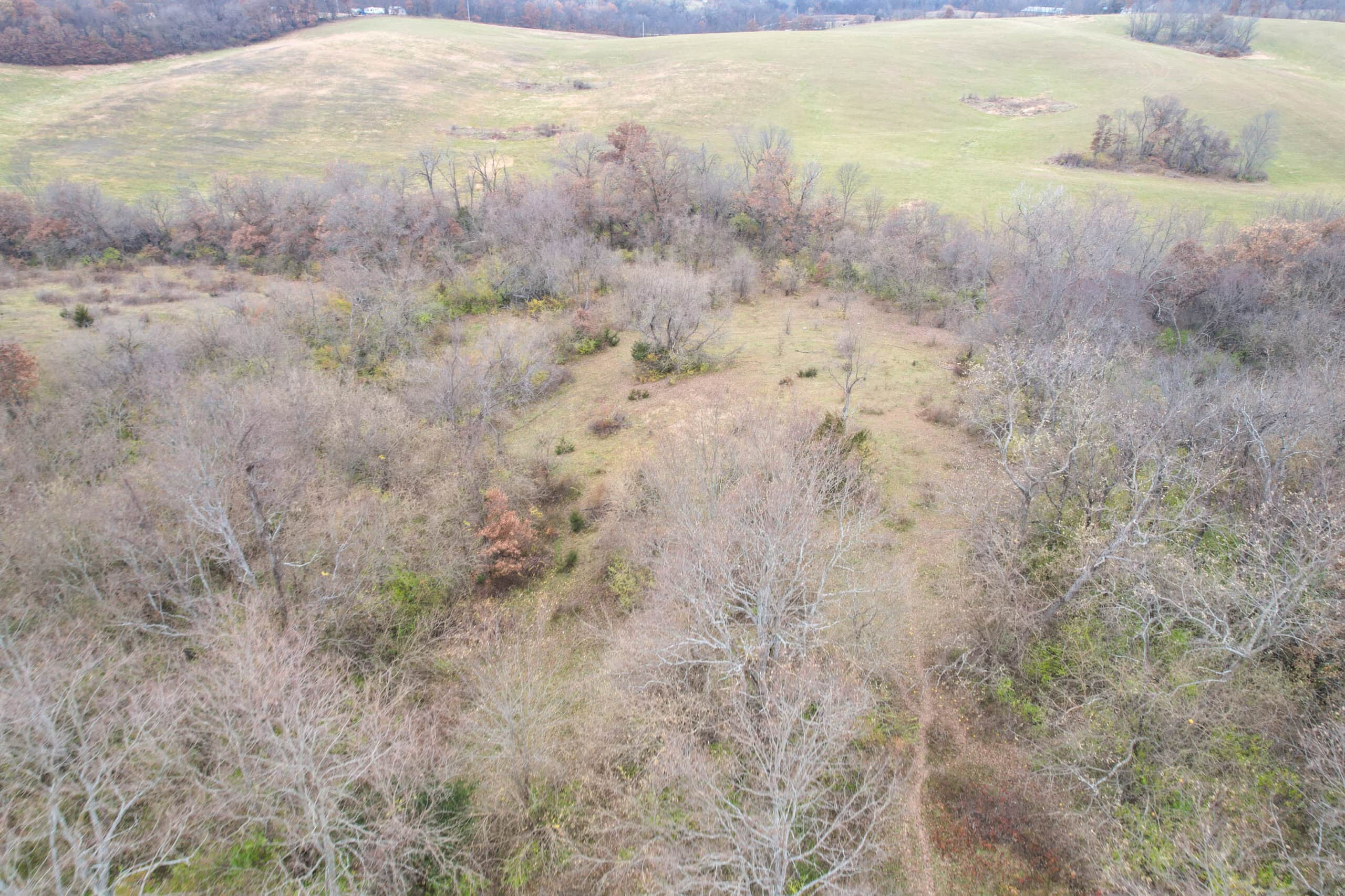 156± Acres | Premier Whitetail & Pasture Unit | North of Georgetown & West of Hiteman