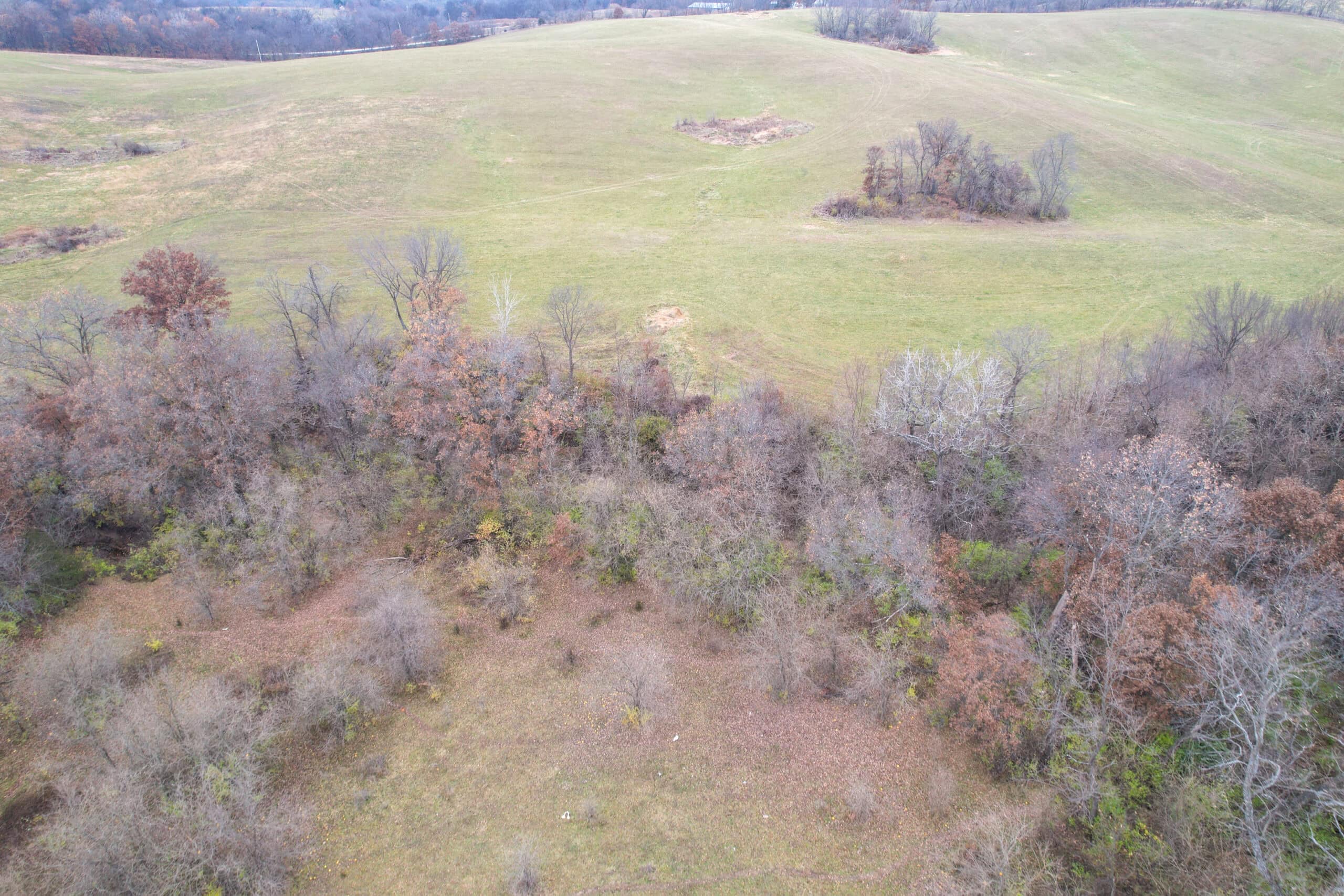 156± Acres | Premier Whitetail & Pasture Unit | North of Georgetown & West of Hiteman
