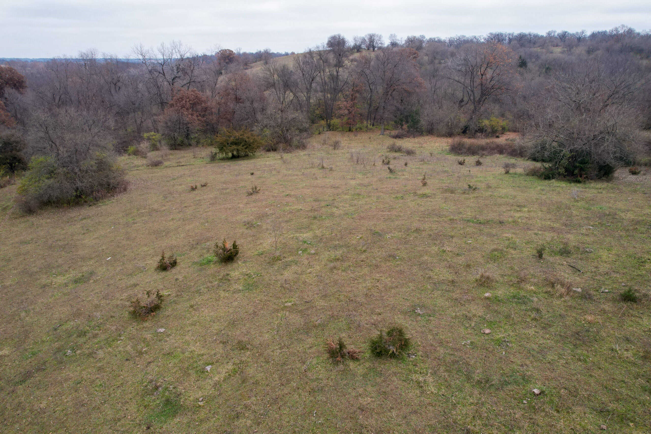 156± Acres | Premier Whitetail & Pasture Unit | North of Georgetown & West of Hiteman