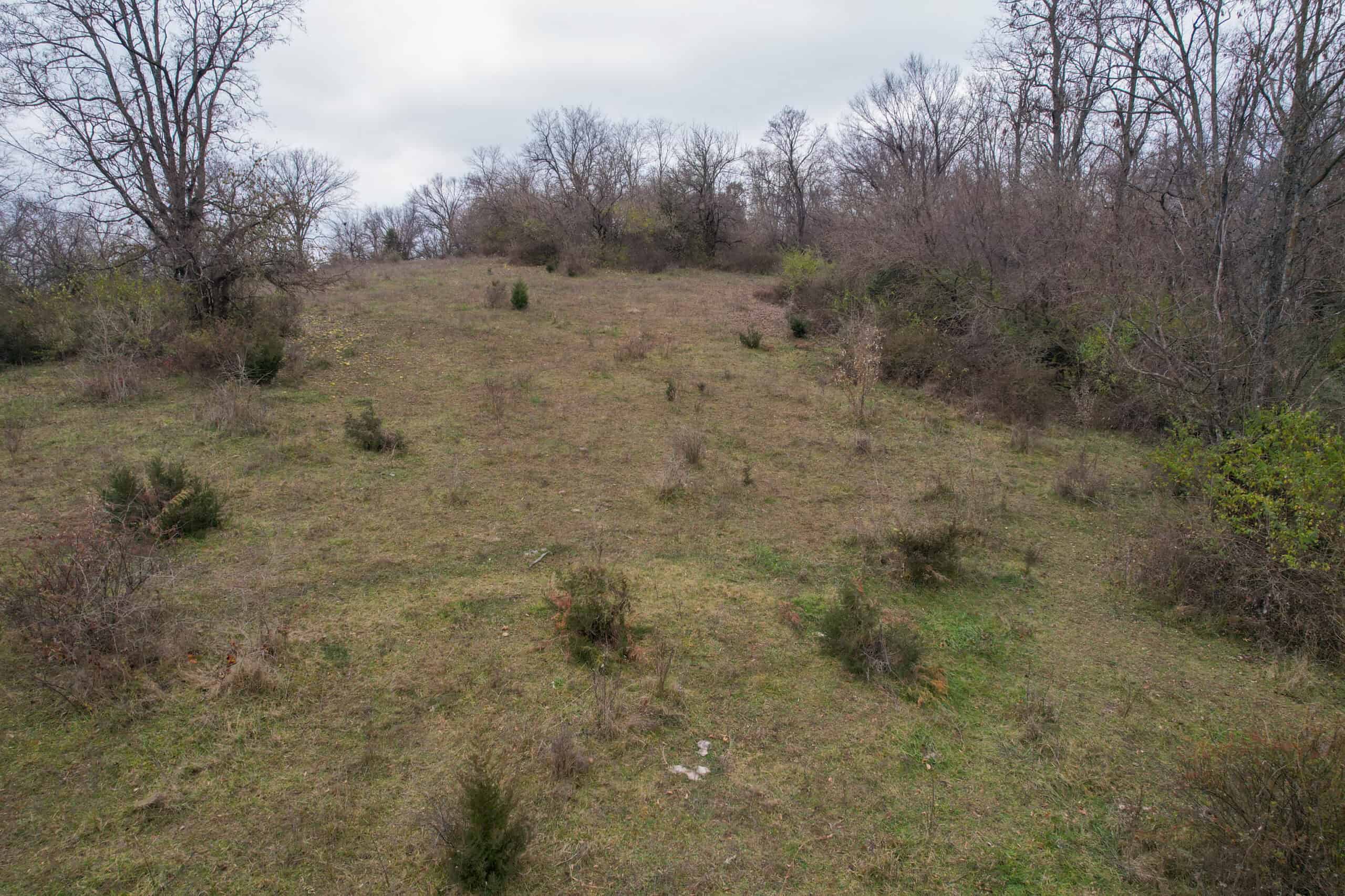 156± Acres | Premier Whitetail & Pasture Unit | North of Georgetown & West of Hiteman