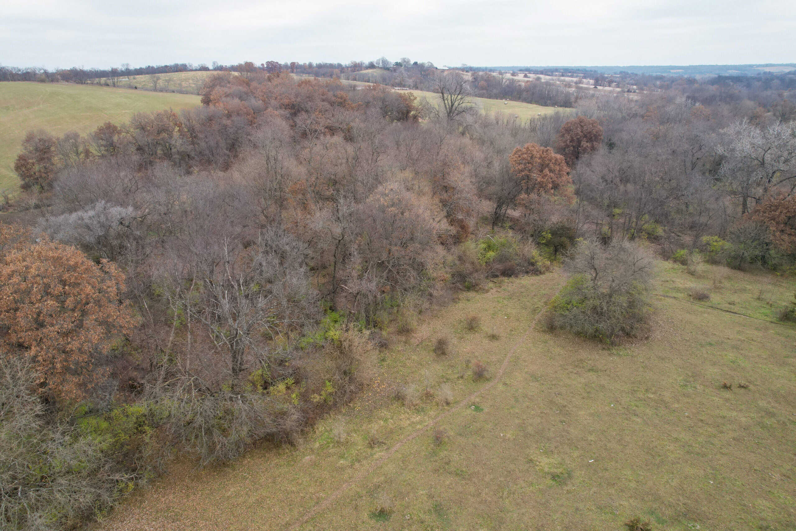 156± Acres | Premier Whitetail & Pasture Unit | North of Georgetown & West of Hiteman