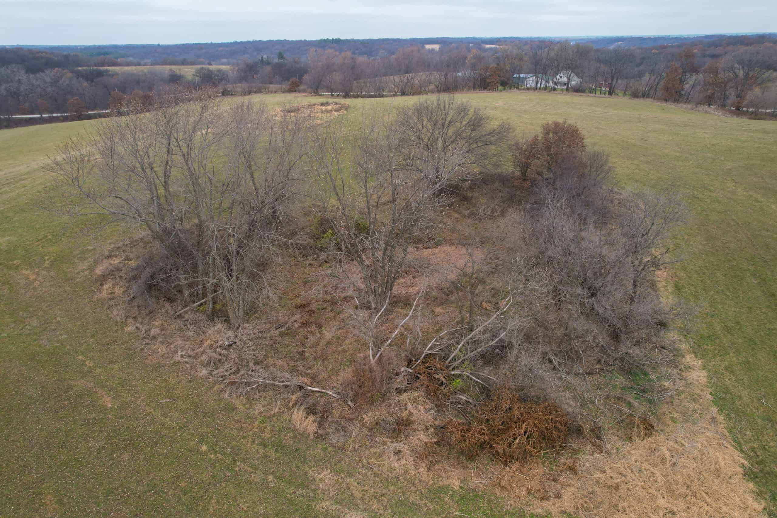 156± Acres | Premier Whitetail & Pasture Unit | North of Georgetown & West of Hiteman