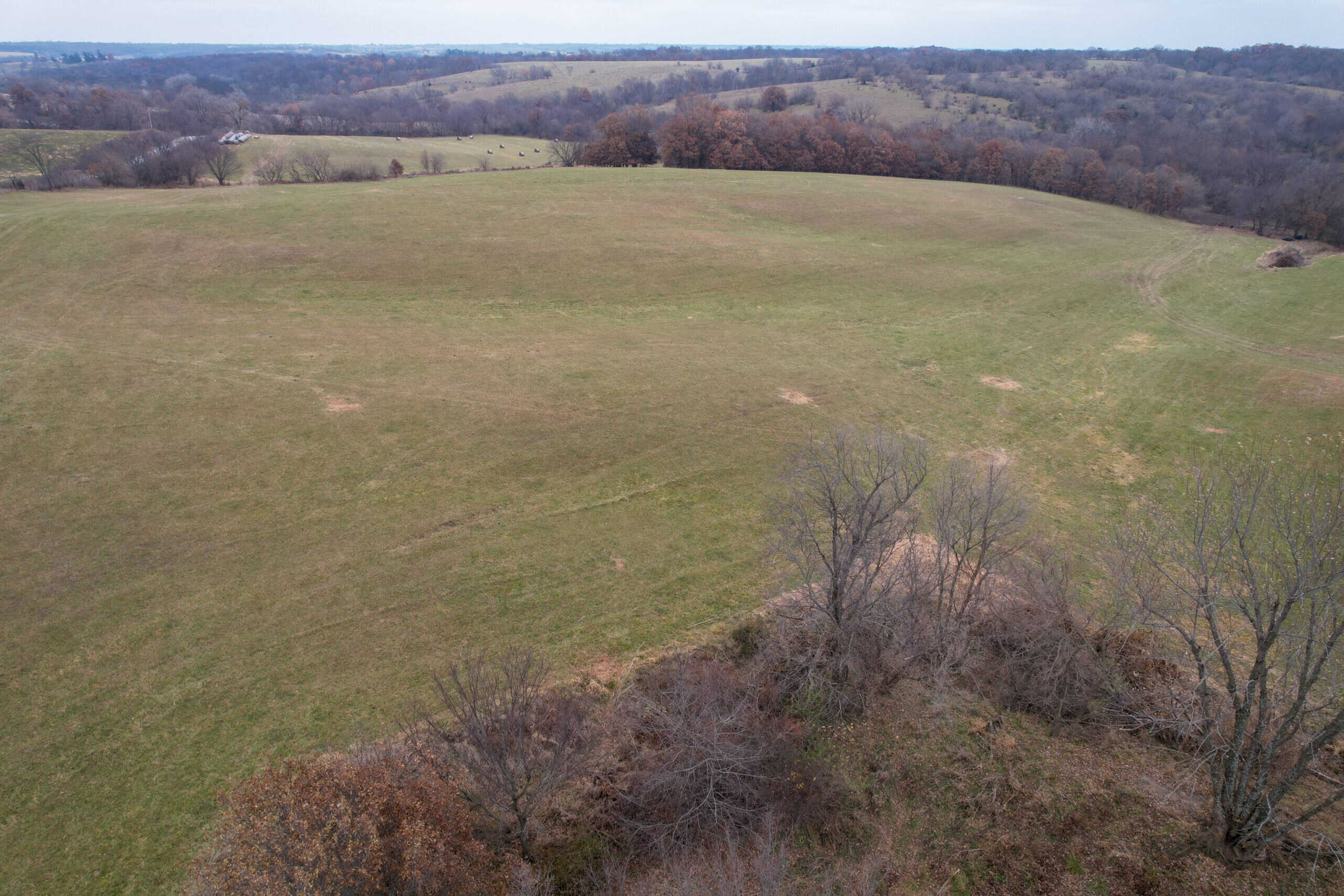 156± Acres | Premier Whitetail & Pasture Unit | North of Georgetown & West of Hiteman