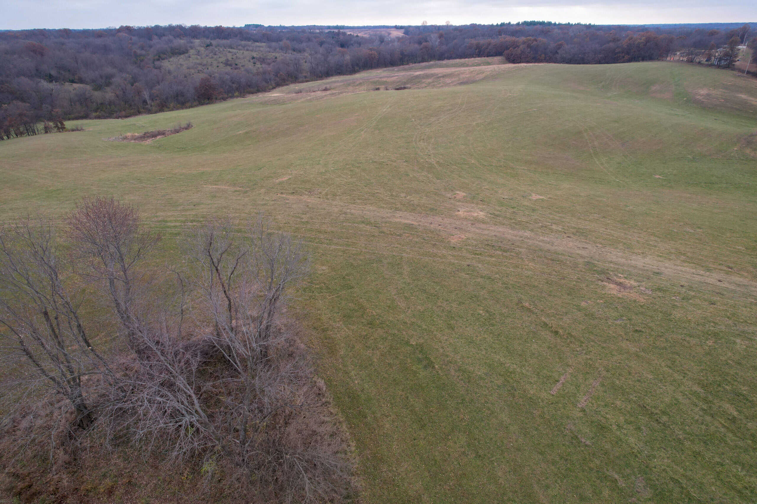 156± Acres | Premier Whitetail & Pasture Unit | North of Georgetown & West of Hiteman