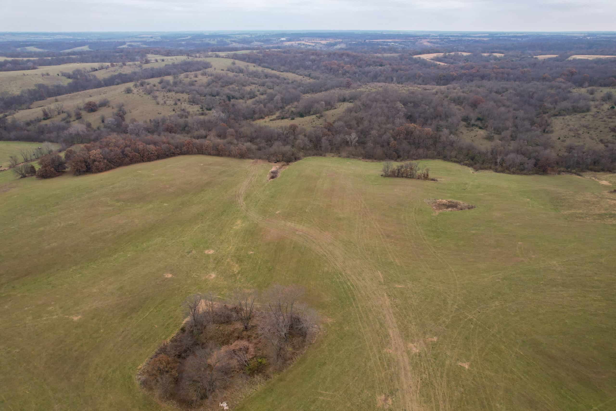 156± Acres | Premier Whitetail & Pasture Unit | North of Georgetown & West of Hiteman
