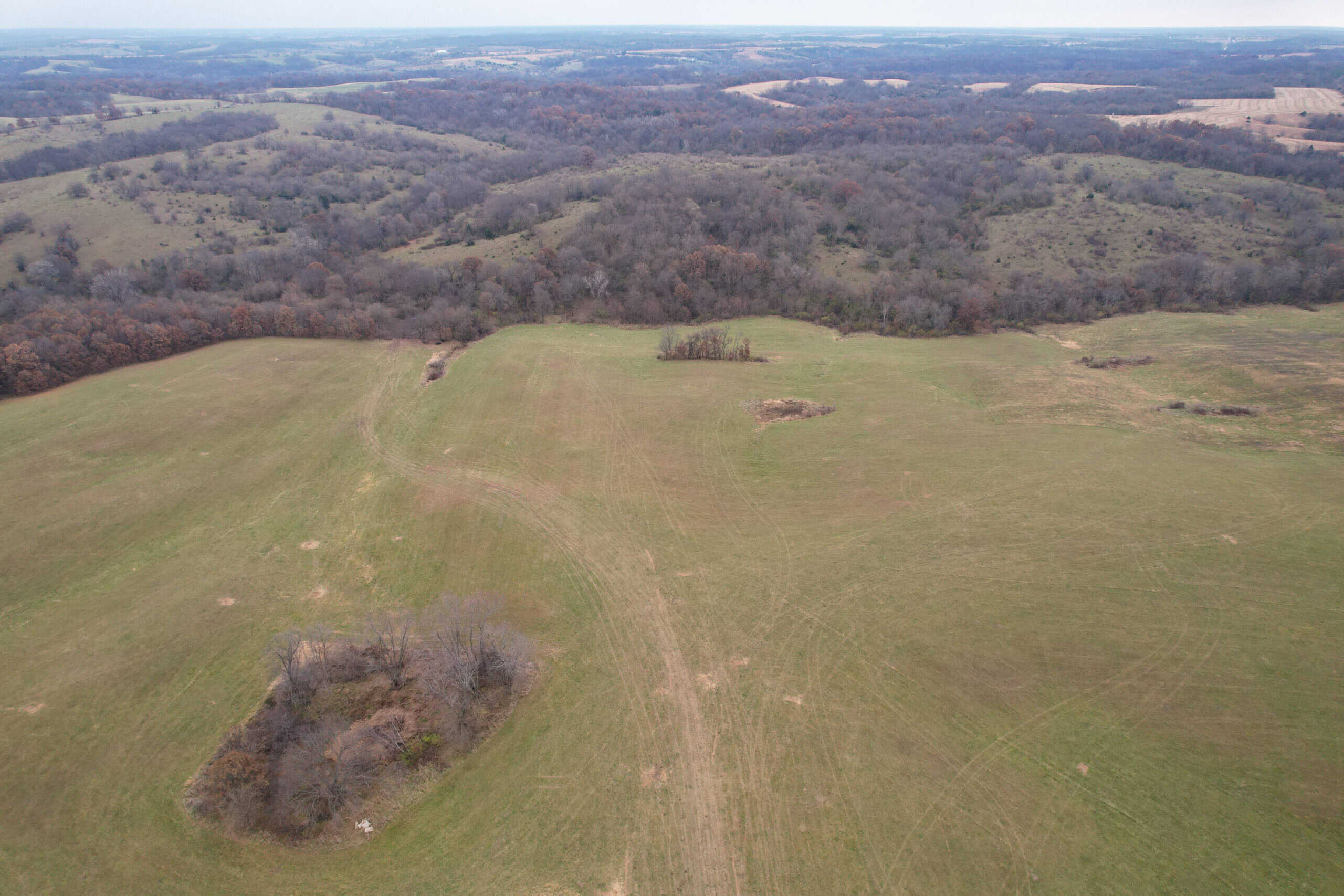 156± Acres | Premier Whitetail & Pasture Unit | North of Georgetown & West of Hiteman
