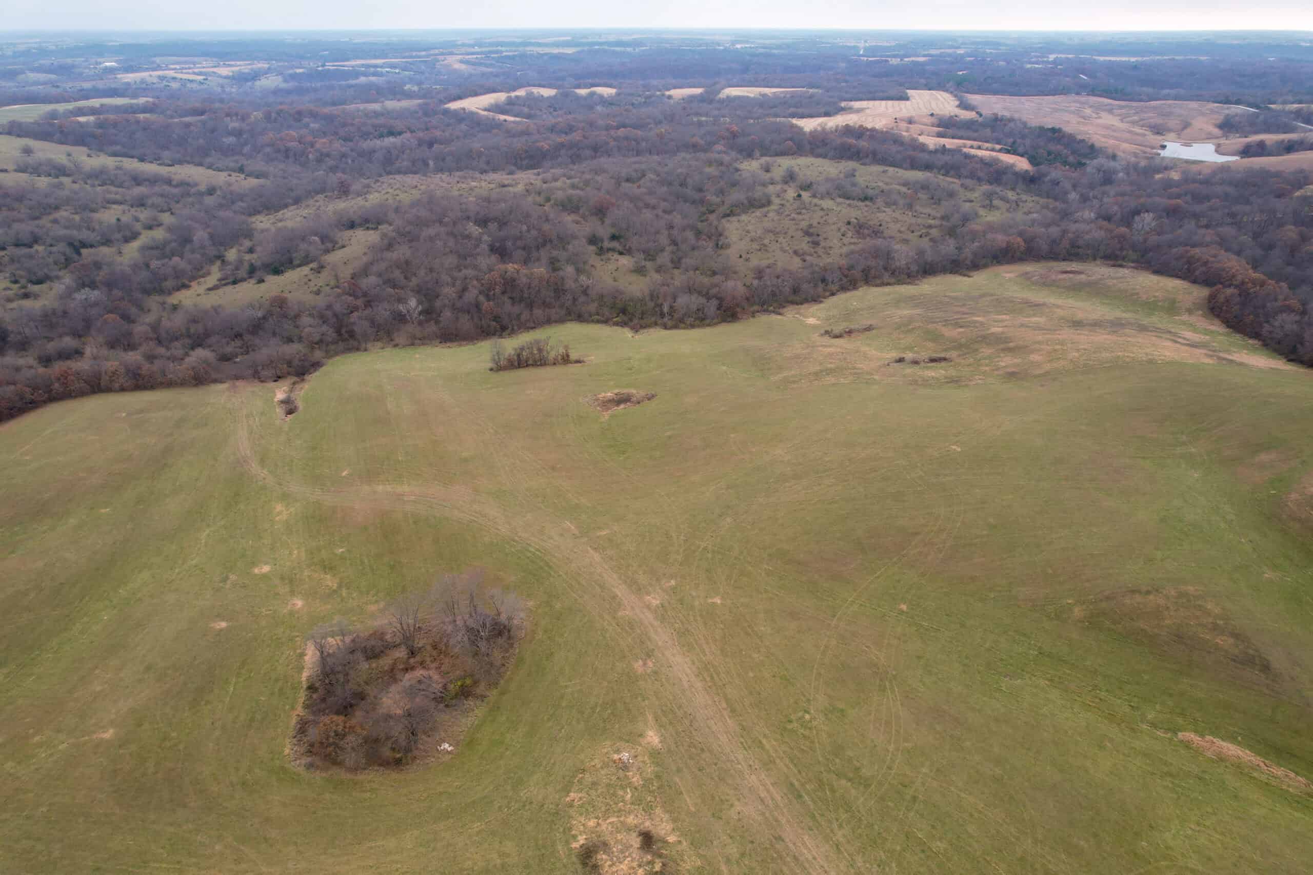 156± Acres | Premier Whitetail & Pasture Unit | North of Georgetown & West of Hiteman